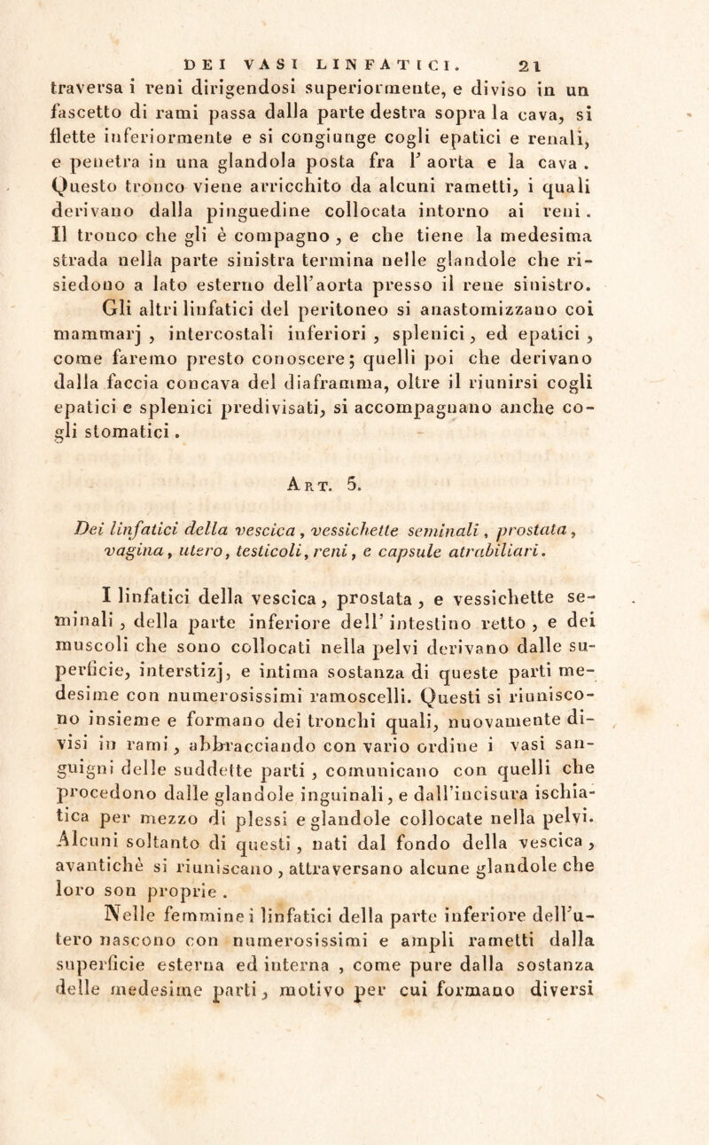 traversa i reni dirigendosi superiormente, e diviso in un fascetto di rami passa dalla parte destra sopra la cava, si flette inferiormente e si congiunge cogli epatici e renali, e penetra in una glandola posta fra 1’ aorta e la cava . Questo tronco viene arricchito da alcuni rametti, i quali derivano dalla pinguedine collocata intorno ai reni. Il tronco che gli è compagno , e che tiene la medesima strada nella parte sinistra termina nelle glandole che ri¬ siedono a lato esterno dell aorta presso il rene sinistro. Gli altri linfatici del peritoneo si anastomizzano coi mammarj , intercostali inferiori, splenici, ed epatici, come faremo presto conoscere; quelli poi che derivano dalla faccia concava del diaframma, oltre il riunirsi cogli epatici e splenici predivisati, si accompagnano anche co¬ gli stomatici. A p, t. 5. Dei linfatici della vescica , vessichette seminali, prostata , vagina t utero, testicoli, reni, e capsule atrabiliari. I linfatici della vescica, prostata, e vessichette se¬ minali , della parte inferiore dell’ intestino retto , e dei muscoli che sono collocati nella pelvi derivano dalle su¬ perficie, interstizj, e intima sostanza di queste parti me¬ desime con numerosissimi ramoscelli. Questi si riunisco¬ no insieme e formano dei tronchi quali, nuovamente di¬ visi in rami, abbracciando con vario ordine i vasi san¬ guigni delle suddette parti , comunicano con quelli che procedono dalle glandole inguinali, e daH’incisura ischia¬ tica per mezzo di plessi e glandole collocate nella pelvi. Alcuni soltanto di questi , nati dal fondo della vescica , avantichè si riuniscano , attraversano alcune glandole che loro son proprie . Nelle femminei linfatici della parte inferiore dell’u¬ tero nascono con numerosissimi e ampli rametti dalla superficie esterna ed interna , come pure dalla sostanza delle medesime parti, motivo per cui formano diversi