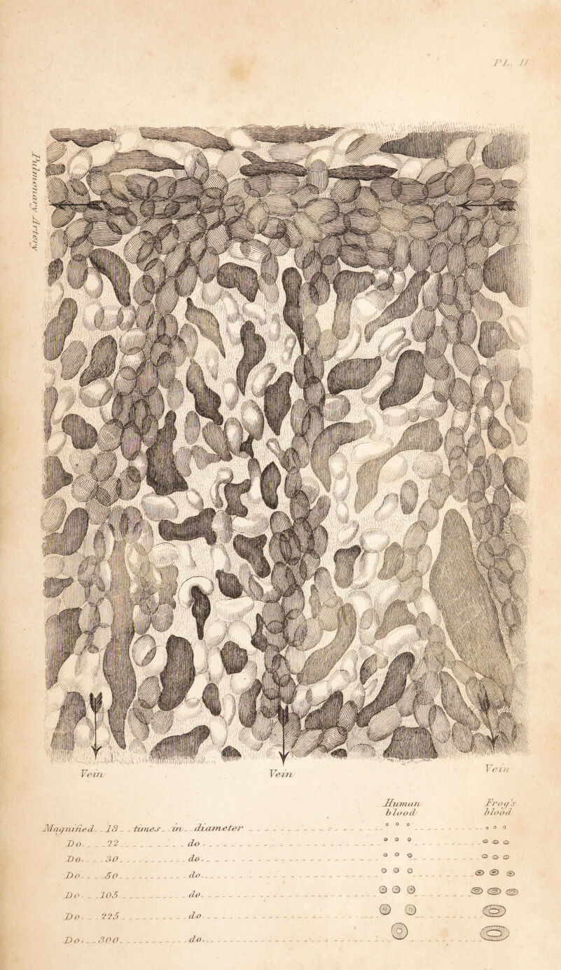 Jhimmi h It'oil © CE> © 0 ,v hlooil . . . o o a <il]5 <23 . O o o a® ® aS) <t® nuTit'ci- -l.'i - - hi ties. 211 - . cLicunetei Bo. . . . -2 2 Do. . Do. . . Bo. ^ . Bo. .. . 225 . . ..ilo. . ... .