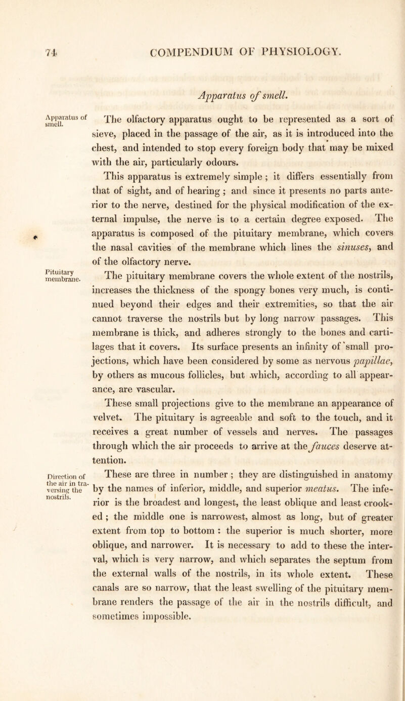 Apparatus of smell. Pituitary membrane. Direction of tlie air in tra¬ versing the nostrils. Apparatus of smell. The olfactory apparatus ought to be represented as a sort of sieve, placed in the passage of the air, as it is introduced into the chest, and intended to stop every foreign body that may be mixed with the air, particularly odours. This apparatus is extremely simple ; it differs essentially from that of sight, and of hearing; and since it presents no parts ante¬ rior to the nerve, destined for the physical modification of the ex¬ ternal impulse, the nerve is to a certain degree exposed. The apparatus is composed of the pituitary membrane, which covers the nasal cavities of the membrane which lines the sinuses^ and of the olfactory nerve. The pituitary membrane covers the whole extent of the nostrils, increases the thickness of the spongy bones very much, is conti¬ nued beyond their edges and their extremities, so that the air cannot traverse the nostrils but by long narrow passages. This membrane is thick, and adheres strongly to the bones and carti¬ lages that it covers. Its surface presents an infinity of'small pro¬ jections, which have been considered by some as nervous pa^nllae, by others as mucous follicles, but .which, according to all appear¬ ance, are vascular. These small projections give to the membrane an appearance of velvet. The pituitary is agreeable and soft to the touch, and it receives a great number of vessels and nerves. The passages through which the air proceeds to arrive at the fauces deserve at¬ tention. These are three in number ; they are distinguished in anatomy by the names of inferior, middle, and superior meatus. The infe¬ rior is the broadest and longest, the least oblique and least crook¬ ed ; the middle one is narrowest, almost as long, but of greater extent from top to bottom : the superior is much shorter, more oblique, and narrower. It is necessary to add to these the inter¬ val, which is very narrow, and which separates the septum from the external walls of the nostrils, in its whole extent. These canals are so narrow, that the least swelling of the pituitary mem¬ brane renders the passage of the air in the nostrils difficult, and sometimes impossible.
