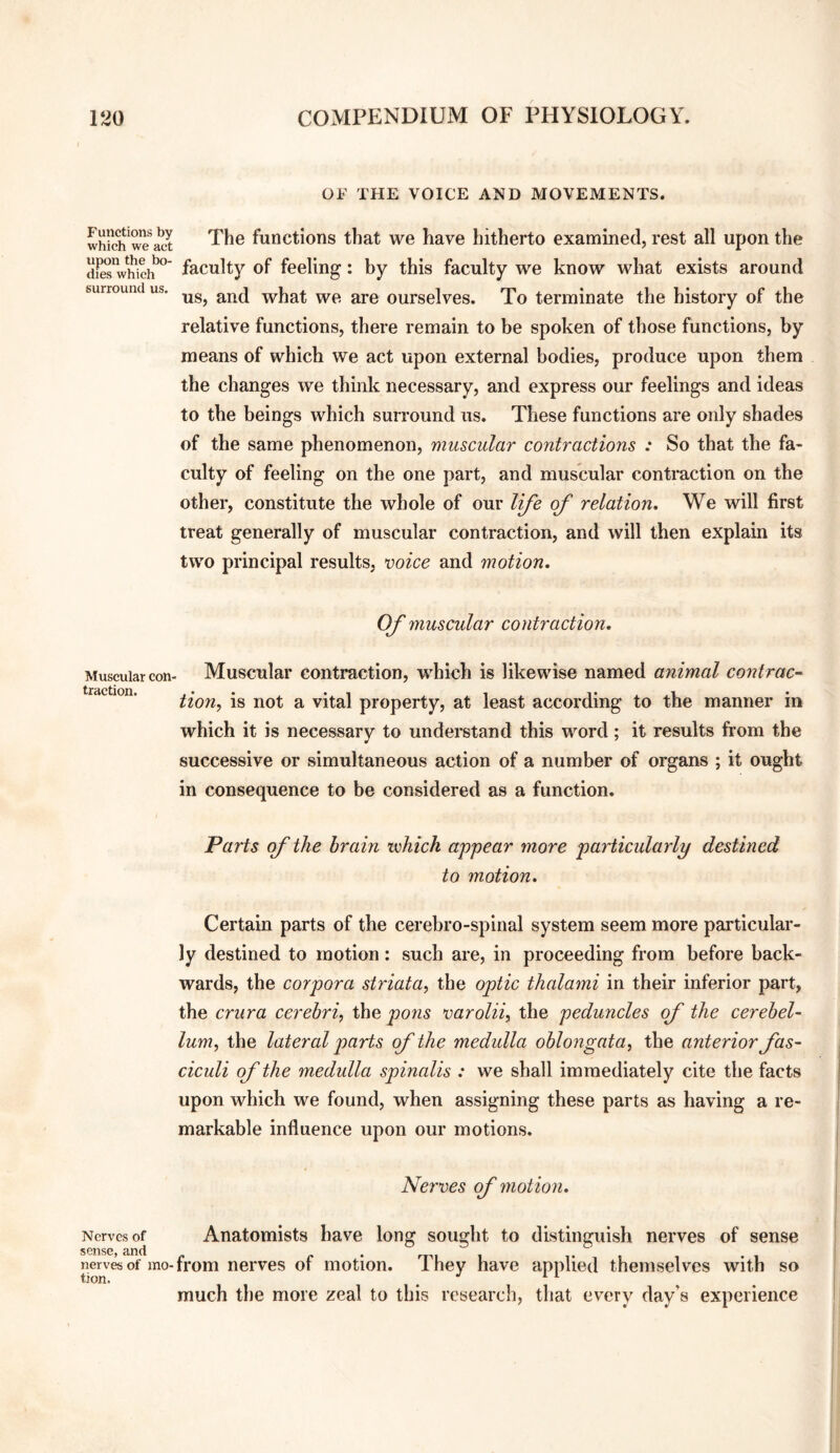 Functions by which we act upon the bo¬ dies which surround us. Muscular con¬ traction. Nerves of sense, and nerves of mo¬ tion. OF THE VOICE AND MOVEMENTS. The functions that we have hitherto examined, rest all upon the faculty of feeling: by this faculty we know what exists around us, and what we are ourselves. To terminate the history of the relative functions, there remain to be spoken of those functions, by means of which we act upon external bodies, produce upon them the changes we think necessary, and express our feelings and ideas to the beings which surround us. These functions are only shades of the same phenomenon, muscular contractions : So that the fa¬ culty of feeling on the one part, and muscular contraction on the other, constitute the whole of our life of relation. We will first treat generally of muscular contraction, and will then explain its two principal results, voice and motion. Of muscular contraction. Muscular contraction, which is likewise named animal contract tion, is not a vital property, at least according to the manner in which it is necessary to understand this word; it results from the successive or simultaneous action of a number of organs ; it ought in consequence to be considered as a function. Parts of the brain which appear more particularly destined to motion. Certain parts of the cerebro-spinal system seem more particular¬ ly destined to motion: such are, in proceeding from before back¬ wards, the corpora striata, the optic thalami in their inferior part, the crura cerebri, the pons varolii, the peduncles of the cerebel¬ lum, the lateral parts of the medulla oblongata, the anterior fas¬ ciculi of the medulla spinalis : we shall immediately cite the facts upon which we found, when assigning these parts as having a re¬ markable influence upon our motions. Nerves of motion. Anatomists have long sought to distinguish nerves of sense from nerves of motion. They have applied themselves with so much the more zeal to this research, that every day’s experience