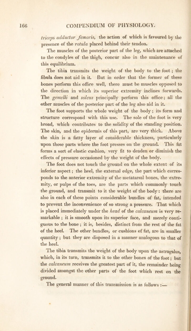 triceps adductor femoris, the action of which is favoured by the presence of the rotula placed behind their tendon. The muscles of the posterior part of the leg, which are attached to the condyles of the thigh, concur also in the maintenance of this equilibrium. The tibia transmits the weight of the body to the foot ; the fibula does not aid in it. But in order that the former of these bones perform this office well, there must be muscles opposed to the direction in which its superior extremity inclines forwards. The gemelli and soleus principally perform this office; all the other muscles of the postenor part of the leg also aid in it. The foot supports the whole weight of the body ; its form and structure correspond with this use. The sole of the foot is very broad, which contributes to the solidity of the standing position. The skin, and the epidermis of this part, are very thick. Above the skin is a fatty layer of considerable thickness, particularly upon those parts where the foot presses on the ground. This fat forms a sort of elastic cushion, very fit to deaden or diminish the effects of pressure occasioned by the weight of the body. The foot does not touch the gi’ound on the whole extent of its inferior aspect; the heel, the external edge, the part which corres¬ ponds to the anterior extremity of the metatarsal bones, the extre¬ mity, or pulps of the toes, are the parts which commonly touch the ground, and transmit to it the weight of the body: there are also in each of these points considerable bundles of fat, intended to prevent the inconvenience of so strong a pressure. That which is placed immediately under the head of the calcaneum is very re¬ markable ; it is smooth upon its superior face, and merely conti¬ guous to the bone ; it is, besides, distinct from the rest of the fat of the heel. The other bundles, or cushions of fat, are in smaller quantity ; but they are disposed in a manner analogous to that of the heel. The tibia transmits the weight of the body upon the astragalus, which, in its turn, transmits it to the other bones of the foot; but the calcaneum receives the greatest part of it, the remainder being divided amongst the other parts of the foot which rest on the ground. The general manner of this transmission is as follows :_