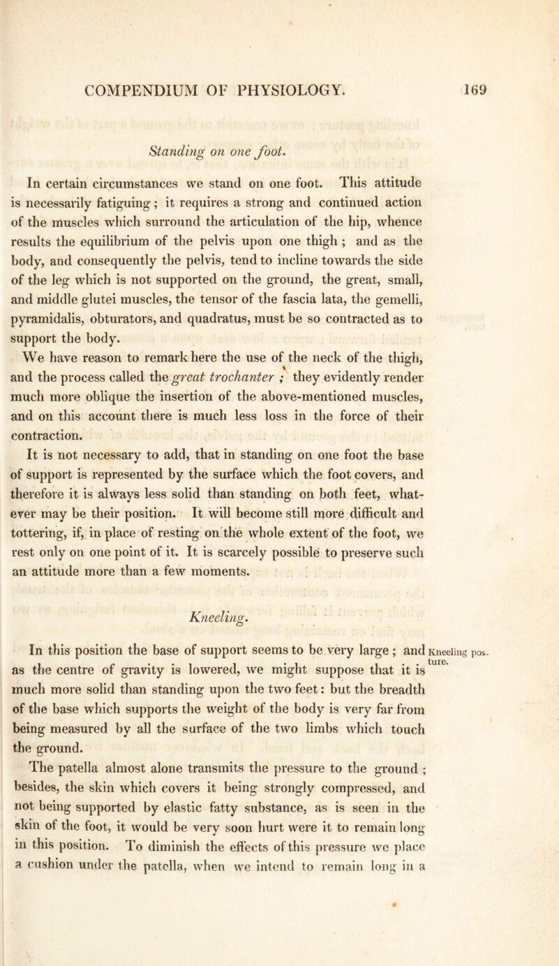 Standing on one foot. In certain circumstances we stand on one foot. This attitude is necessarily fatiguing; it requires a strong and continued action of the muscles which surround the articulation of the hip, whence results the equilibrium of the pelvis upon one thigh ; and as the body, and consequently the pelvis, tend to incline towards the side of the leg which is not supported on the ground, the great, small, and middle glutei muscles, the tensor of the fascia lata, the gemelli, pyramidalis, obturators, and quadratus, must be so contracted as to support the body. We have reason to remark here the use of the neck of the thigh, and the process called the great trochanter ; they evidently render much more oblique the insertion of the above-mentioned muscles, and on this account there is much less loss in the force of their contraction. It is not necessary to add, that in standing on one foot the base of support is represented by the surface which the foot covers, and therefore it is always less solid than standing on both feet, what¬ ever may be their position. It will become still more difficult and tottering, if, in place of resting on the whole extent of the foot, we rest only on one point of it. It is scarcely possible to preserve such an attitude more than a few moments. Kneeling. In this position the base of support seems to be very large ; and Kneeling pos. as the centre of gravity is lowered, we might suppose that it is much more solid than standing upon the two feet: but the breadth of the base which supports the weight of the body is very far from being measured by all the surface of the two limbs which touch the ground. The patella almost alone transmits the pressure to the ground ; besides, the skin which covers it being strongly compressed, and not being supported by elastic fatty substance, as is seen in the skin of the foot, it would be very soon hurt were it to remain long in this position. To diminish the effects of this pressure we place a cushion under the patella, when we intend to remain long in a 0