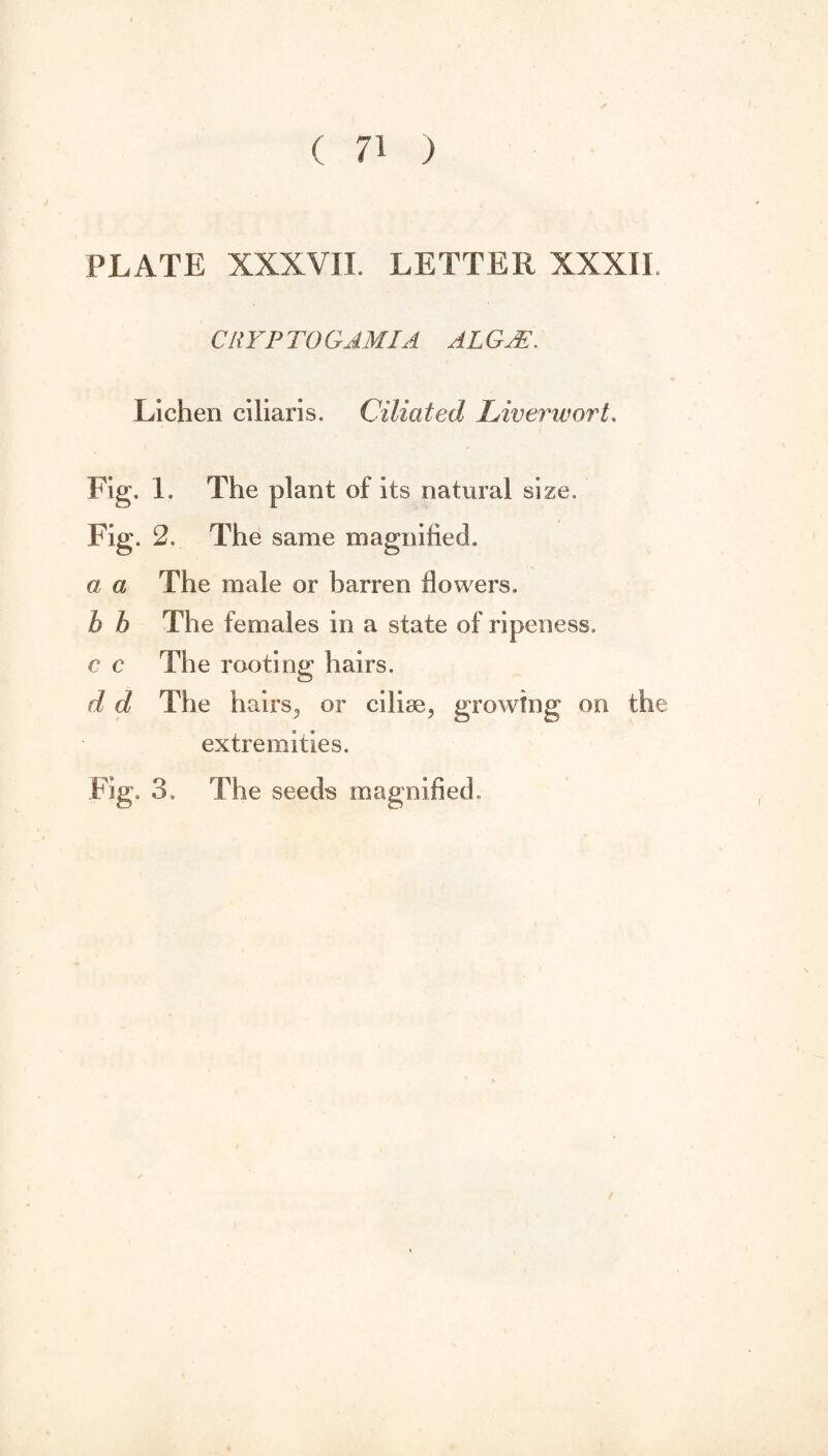 ( 71 ) PLATE XXXVII. LETTER XXXII. CHYP TO GAM I A ALGJE. Lichen ciliaris. Ciliated Liverwort. Fig, 1, The plant of its natural size. Fig. 2. The same magnified. a a The male or barren flowers. b b The females in a state of ripeness, c c The rooting hairs. d d The hairs,, or cilise^, growing on the extremities. Fig. 3, The seeds magnified.