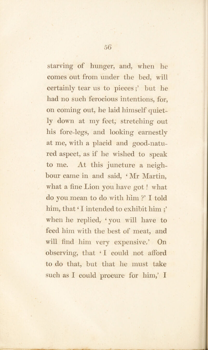 starving of hunger, and, when he comes out from under the bed, will certainly tear us to pieces but he had no such ferocious intentions, for, on coming out, he laid himself quiet- ly down at my feet, stretching out his fore-legs, and looking earnestly at me, with a placid and good-natu¬ red aspect, as if he wished to speak to me. At this juncture a neigh- 4 bour came in and said, ‘ Mr Martin, what a fine Lion you have got ! what do you mean to do with him ?’ I told him, that ‘ I intended to exhibit him when he replied/ 6 you will have to feed him with the best of meat, and will find him very expensive.’ On observing, that 61 could not afford to do that, but that he must take such as I could procure for him,* I