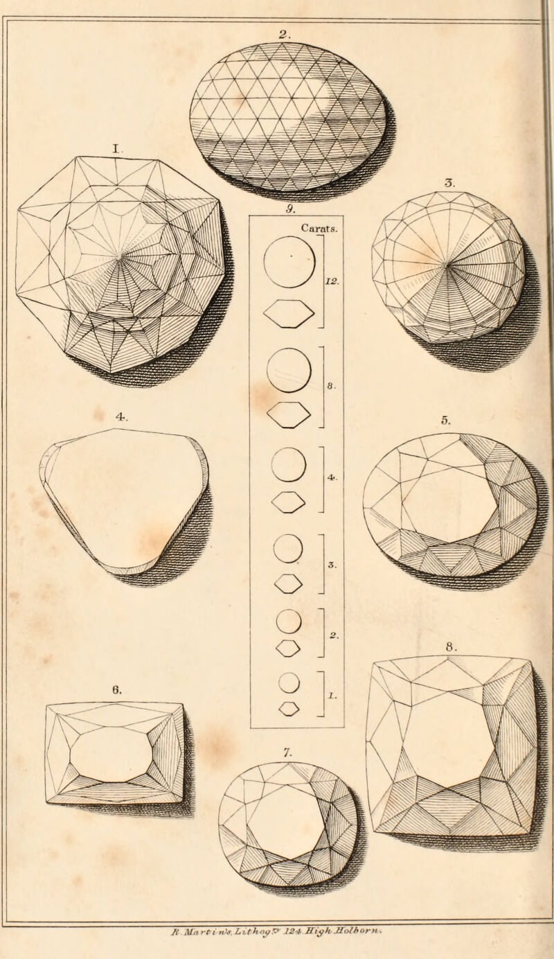 ft Marti n>s LithngP 124 ITiyhMolhorn ■