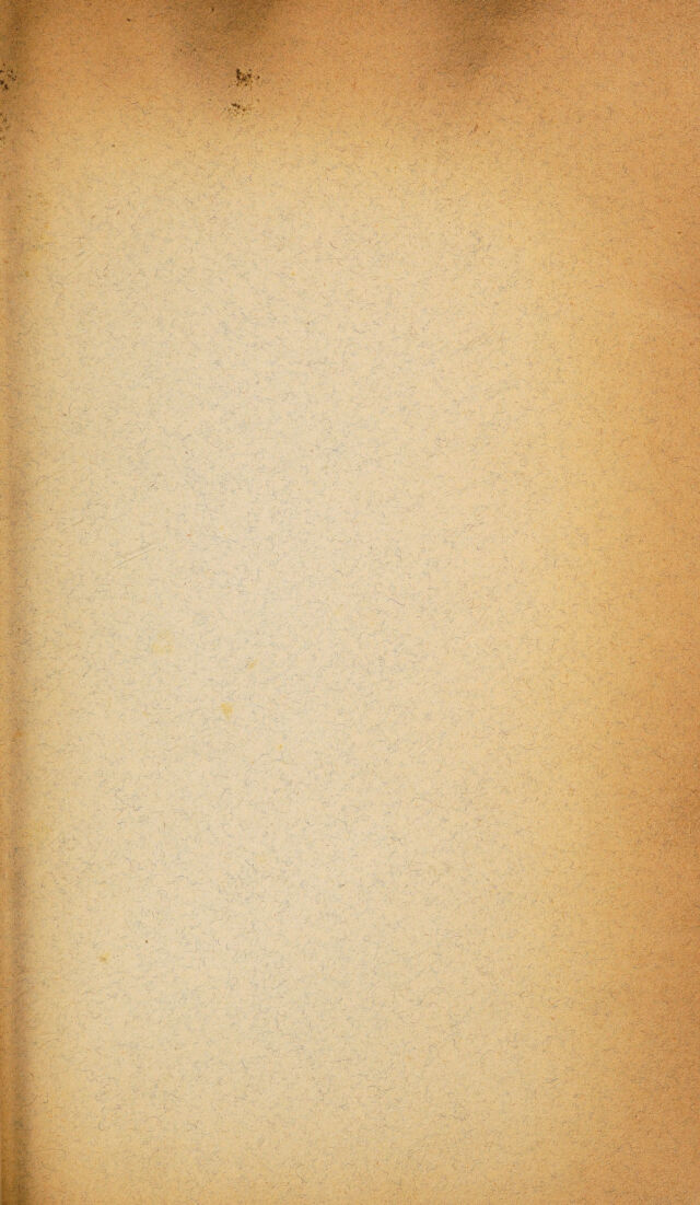 digitised image 3