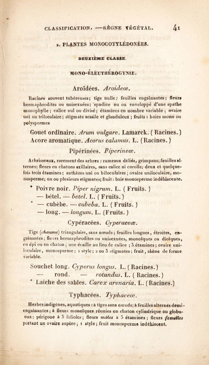 a. PLANTES MONOCOTYLÉDONÉES. DEUXIÈME CLASSE. mono-eleutherogynie . Àroïdées. Aroideœ. Racines souvent tubéreuses; tige nulle; feuilles engainantes; fleur# hermaphrodites ou unisexuées; 'spadice nu ou enveloppé d’une spathe monophylle ; calice nul ou divisé; étamines en nombre variable ; ovaire uni ou triloculaire ; stigmate sessile et glanduleux ; fruits ; baies mono ou polyspermes Gouet ordinaire. Arum vulgare. Lamarck. ( Racines.) Acore aromatique. Acorus calamus. L. (Racines. ) Pipérinées. Piperineœ. Arbrisseaux, rarement des arbres : rameaux déliés, grimpans; feuilles al- ternes; fleurs en chatons axillaires, sans calice ni corolle; deux et quelque- fois trois étamines ; anthères uni ou biloculaires ; ovaire uniloculaire, mo- nosperme; un ou plusieurs stigmates; fruit : baie monosperme indéhiscente. * Poivre noir. Piper nigrum. L. ( Fruits. ) — bétel. — betel. L. ( Fruits. ) — cubèbe. — cubeba. L. ( Fruits. ) —- long. ■— longum. L. (Fruits. ) Cypéracées. Cyperaceœ. Tige (chaume) triangulaire, sans noeuds ; feuilles longues , étroites, en- gainantes; fleurs hermaphrodites ou unisexuées, monoïques ou dioïques, en épi ou en chaton ; une écaille au lieu de calice ; 3 étamines ; ovaire uni- loculaire, monosperme ; î style; 2 ou 3 stigmates ; fruit, akène de forme variable. N » Souchet long. Cyperus longus. L. (Racines.) — rond. — rotundus. L. ( Racines. ) * Laiche des sables. Carex arenaria. L. (Racines.) Typhacées. Typkaceœ. Herbes indigènes, aquatiques ; à tiges sans noeuds; à feuilles alternes demi - engainantes ; à fleurs monoïques réunies en chaton cylindrique ou globu- eux; perigone à 3 lolioles; fleurs mâles à 3 étamines; fleurs femelles portant un ovaire supère ; i style ; fruit monosperme indéhiscent.