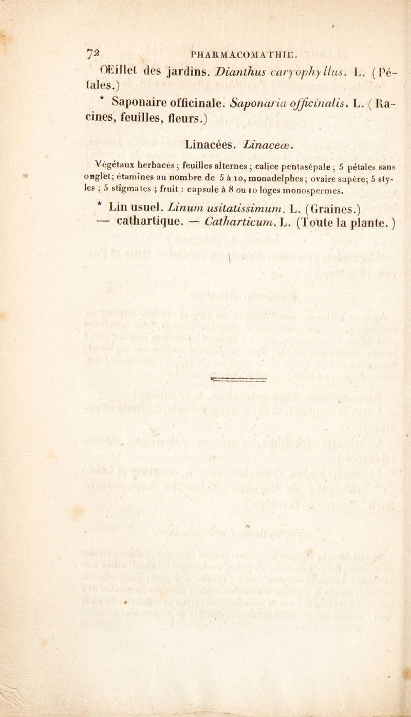 Œillet des jardins. Dianihus caryophy lins. L. (Pé- tales.) Saponaire officinale. Saponarici officinaiis. L. ( Ra - cines, feuilles, fleurs.) Linacées. Linaceæ. Végétaux herbacés; feuilles alternes ; calice pentasépale; 5 pétales sans onglet; étamines au nombre de 5 à 10, monadelphcs ; ovaire supère; 5 sty- les ; 5 stigmates ; fruit : capsule à 8 ou to loges monospermes. * Lin usuel. Linum usitatissimum. L. (Graines.) -— cathartique. — Catharticum. L. (Toute la plante. )