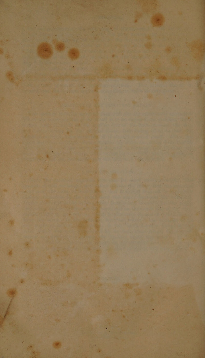 age ee mE en f PP ice waen sae _ Pe Con: ee ), Acie gk oe Rate ee aio ae .,