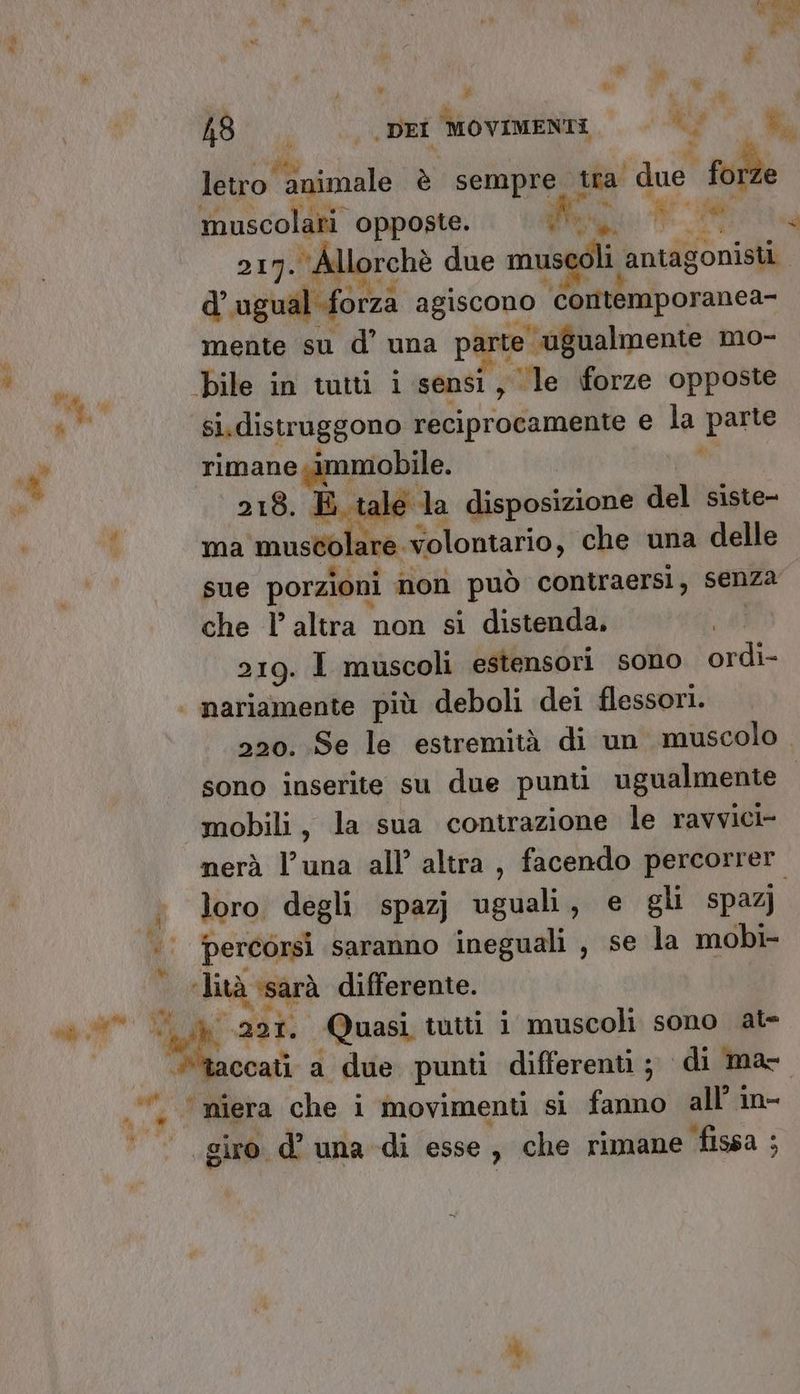 Por ass x FI 7 3 5 ROL e MOVIMENTI. bk; LA letro ‘animale è RE tra | due forze muscolari opposte. Va + dae 217. Allorchè due muscoli antagonisti d ugual forzà agiscono ‘Contemporanea- mente su d’ una parte ugualmente mo- bile in tutti i sensi, le forze opposte è rimane. immobile. 218. È tale. la disposizione del''sigte- o) ma muscolare volontario, che una delle sue porzioni non può contraersi, senza che l’altra non si distenda, 219. I muscoli estensori sono ordi- | nariamente più deboli dei flessori. 220. Se le estremità di un muscolo. sono inserite su due punti ugualmente mobili, la sua contrazione le ravvici- nerà luna all’ altra , facendo percorrer loro degli spazj uguali, e gli spazj ‘' percorsi saranno ineguali , se la mobi- ; lità ssa sarà differente. ccati a due punti differenti; di mac . niera che i movimenti sì legno all’ in- “gin d° una di esse, che rimane fissa;