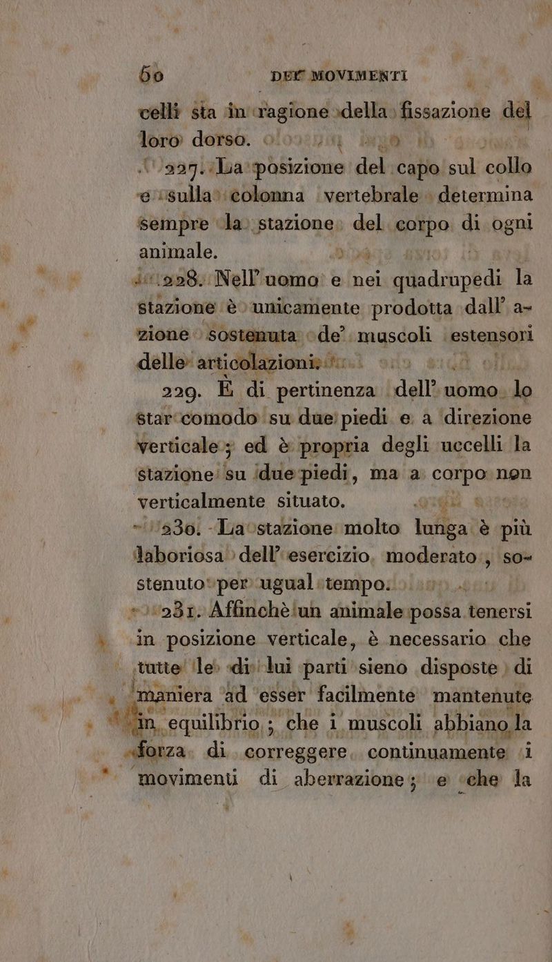 celli sta in aagbad della» fissazione de lor derso. 0/00 Sag 2937.1ia posizione del capo. sul collo conti sulla» ‘colonna vertebrale determina sempre la. stazione; del. HA» di ogni pra si 1928. Nell'uomo? e nei Lo FIRITE la stazione. è unicamente prodotta dall’ a- zione sostenuta. ‘de. mgadoli estensori 229. È di pertinenza ‘dell’ uomo. La star ‘comodo su due’ piedi e: a ‘direzione verticale. 3 ed è propria degli uccelli la stazione! su idue piedi, ma a Carponnga verticalmente situato. Que na » 11230, -Lavstazione: molto lunga. è più laboriosa > dell’ ‘esercizio, moderato: so stenuto»per ugualitempo. 0. 0231. Affinchèlun animale possa tenersi in posizione verticale, è necessario. che tutte ile» «divi.lui parti sieno disposte ) di ‘equilibrio, ;. che i muscoli abbiano, la movimenti di aberrazione; ‘e «che la