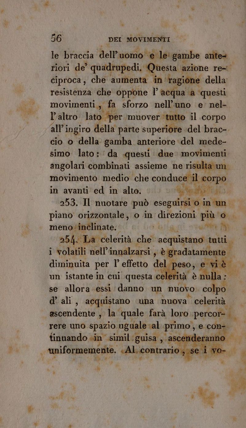 » 4 56 DEI MOVIMENTI le braccia BelPuoaiol e le: gambe antes riori de’ quadrupedi, Questa azione re= ciproca, che aumenta in’ ragione della: resistenza che oppone l’ acqua ‘a questi movimenti, fa sforzo nell’ ‘uno e nel- l’altro lato ‘per. ‘muover ‘tutto il corpo all’; ingiro della parte superiore del brac-. cio o della gamba. anteriore del mede- simo. lato: da questi. due movimenti angolari combinati assieme ne risult cun movimento medio che conduce il corpo in avanti ed in alto. Godi si 253. Il nuotare può eseguirsi o in un piano orizzontale, o in tion i, meno inclinate. ‘ i Gli A PIE. 254. La ‘celerità che acquistano” tutti è i volatili nell” innalzarsi ‘ N agg) diminuita per l’ effetto del. pe 2 un istante in cui questa « cele i rere uno spazio. uguale val primo!) e con tinuando «in'.simil:guisa, ascenderanno 4” SPA oi. È L hi) A