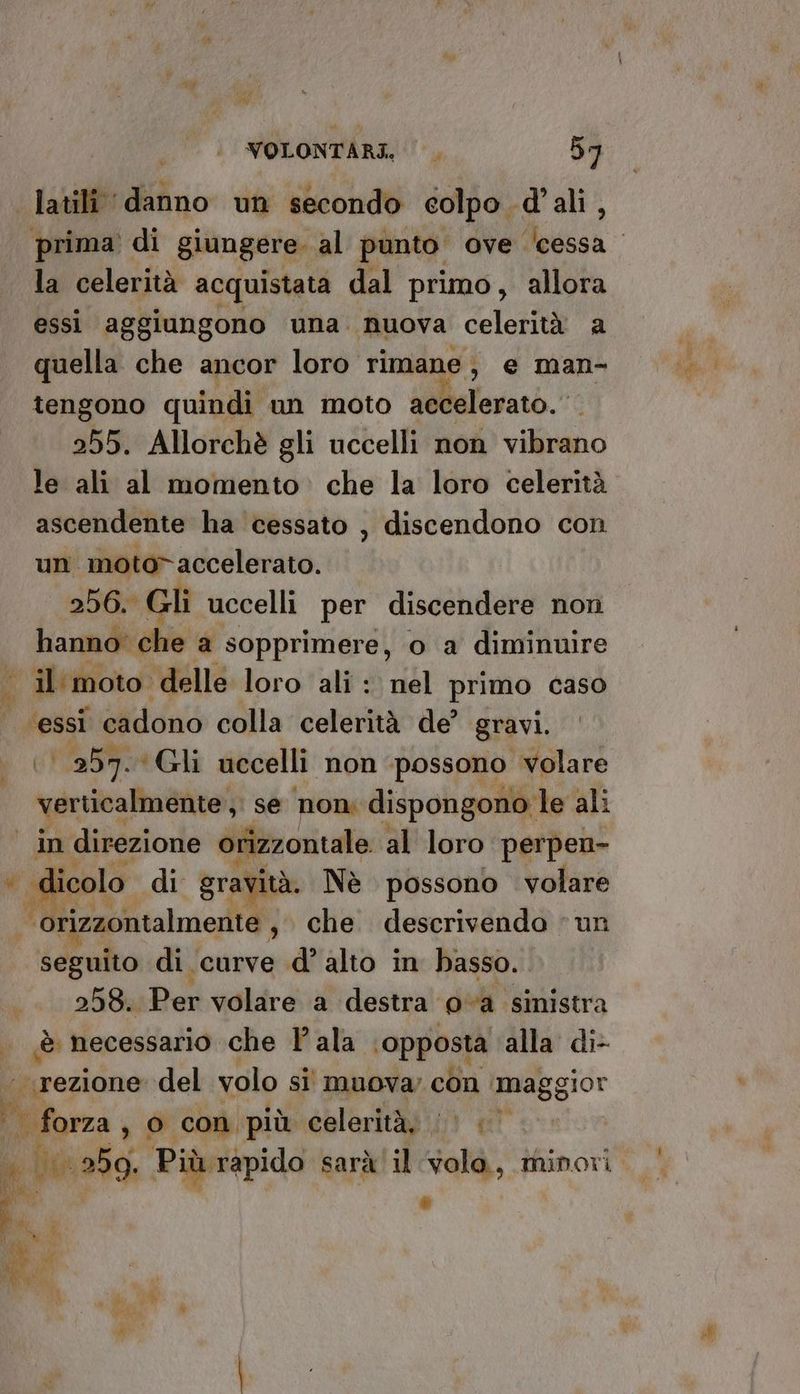 DIL 3 Rea VOLONTARI. |. 57 i la celerità acquistata dal primo, allora essi aggiungono una nuova celerità a quella che ancor loro rimane e man- tengono quindi un moto Wellalevatò.* 255. Allorchè gli uccelli non vibrano le ali al momento. che la loro celerità ascendente ha cessato , discendono con un motovaccelerato. 256. Gli uccelli per discendere non hanno che a sopprimere, o a diminuire | il'moto. delle loro ‘ali : nel primo caso ‘essi cadono colla celerità de’ gravi. Ci, 257. «Gli uccelli ‘non ‘possano volare verticalmente. ; se nom dispongono. le ali in direzione orizzontale. al loro perpen- icolo di gravità. Nè possono volare seguito di curve d’ alto in basso. 258. Per volare a destra oa sinistra è necessario che l'ala ‘opposta alla di- pg erono del volo sì muova; con ‘magg jor TR o con più celerità; LL 259. Più rapido sarà! il dall minori Li