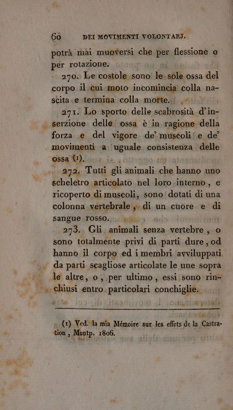 potrà mai muoversi che pas flessione o per rotazione. 270. Le costole sono la al ossa-del corpo il.cui. moto incomincia colla na-. scita «e «termina colla moîte..i ©. 271. Lo sporto delle logi d’in- . serzione. delle ossa è in ragione. della give e del vigore. de’ muistolile de’ movimenti a uguale consistenza delle ossa fiblomzia.: tito) 272. Tutti gli animali ol hauitò uno {chelero ‘articolato nel loro interno, e ricoperto di muscoli, sono!dotati di una colonna vertebrale ;. di un cuore e di sangue rosso... iu. | sii 273,. Gli animali. senza vensiaà; a, sono totalmente privi di parti dure, od hanno il corpo ed i membri ‘avviluppati. da parti scagliose articolate le une sopra È. È le altre, o s;per ultimo, essi sono rin- | «chiusi entro, particolari conchiglie. “e Wi \ } (4 hf al ii (1) Ved: la mia Mémoire' sur les effets de la itia. tion Orte, 1806, tf;