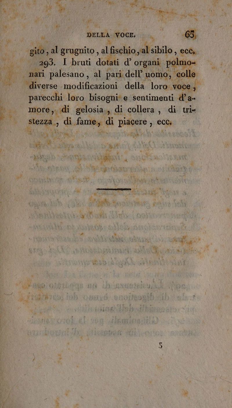 % RA 0) b7 gi Ca 5 ù 4 na) ;  ; Ret i ee AP | î \ Vr: » M Ro 10 i DELLA Mln; va 65, gito, al grugnito, al fischio salsibilo, ccò, 293. I bruti dotati d° organi. polo T: We, | nari palesano, al pari. dell’ uomo, ‘colle. Miffcarso modificazioni della loro: \ voce parecchi loro bisogni* e sentimenti d’a- #3 more ,. di gelosia., | di collera, di tri» n get: di aci di pigro , €00; la vi, O “a È VET. LÀ du A fa 9 w de A ù fr s i ca Ù did  de Na È n. Mea DIV] si ì \ A ; Aa 4 a RE bf ;/ | v ner # ot y f pt ia * [a bi | 4 a ) dg eee. 7 INI i vi &amp; DR) * * De” Riad Co .£ È ; I db È + sat cavea | Li = ‘ pr: i vi ; Pe Ra i n 3 x dé ) »