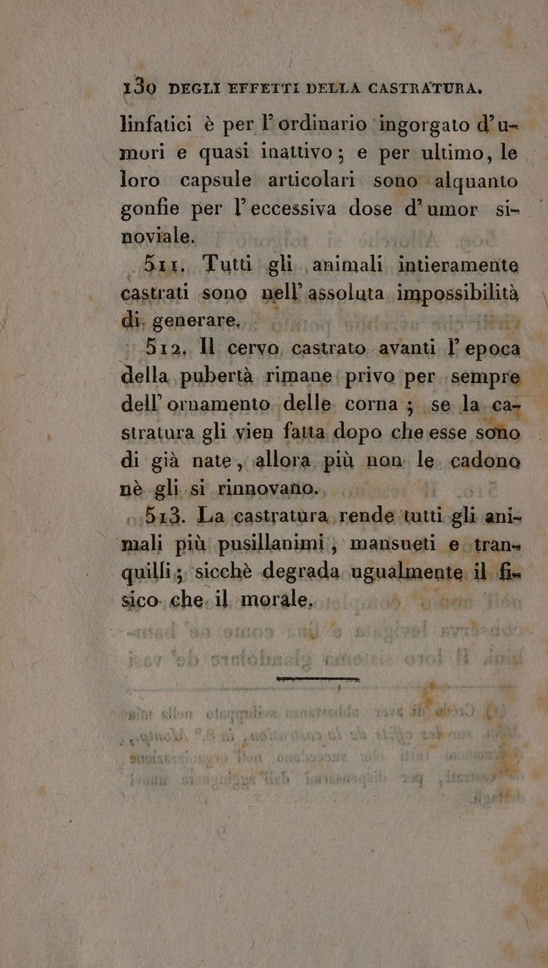 linfatici è per l’ordinario ‘ingorgato d’u= mori e quasi inattivo; e per ultimo, le. loro capsule articolari. sono alquanto gonfie per l'eccessiva dose d’umor si- noviale. | ix. Tutti gli. animali intieramente castrati -Sono nell’ apaglara > gif di. generare... .... | SATTRTO 512. Il cervo, castrato avanti l° epoca della, pubertà rimane: privo ‘per. sempre dell’ ornamento. delle. corna ; se la ca stratura gli vien fanta dopo che esse sono di già nate allora più non. le cadona nè gli si rinnovano. ,:513. La castratura, rende ‘tutti togli ani» esi più pusillanimi j\ mansueti e. trans quilli,;. ‘sicchè degrada Mg. il fin sico. che. il morale,