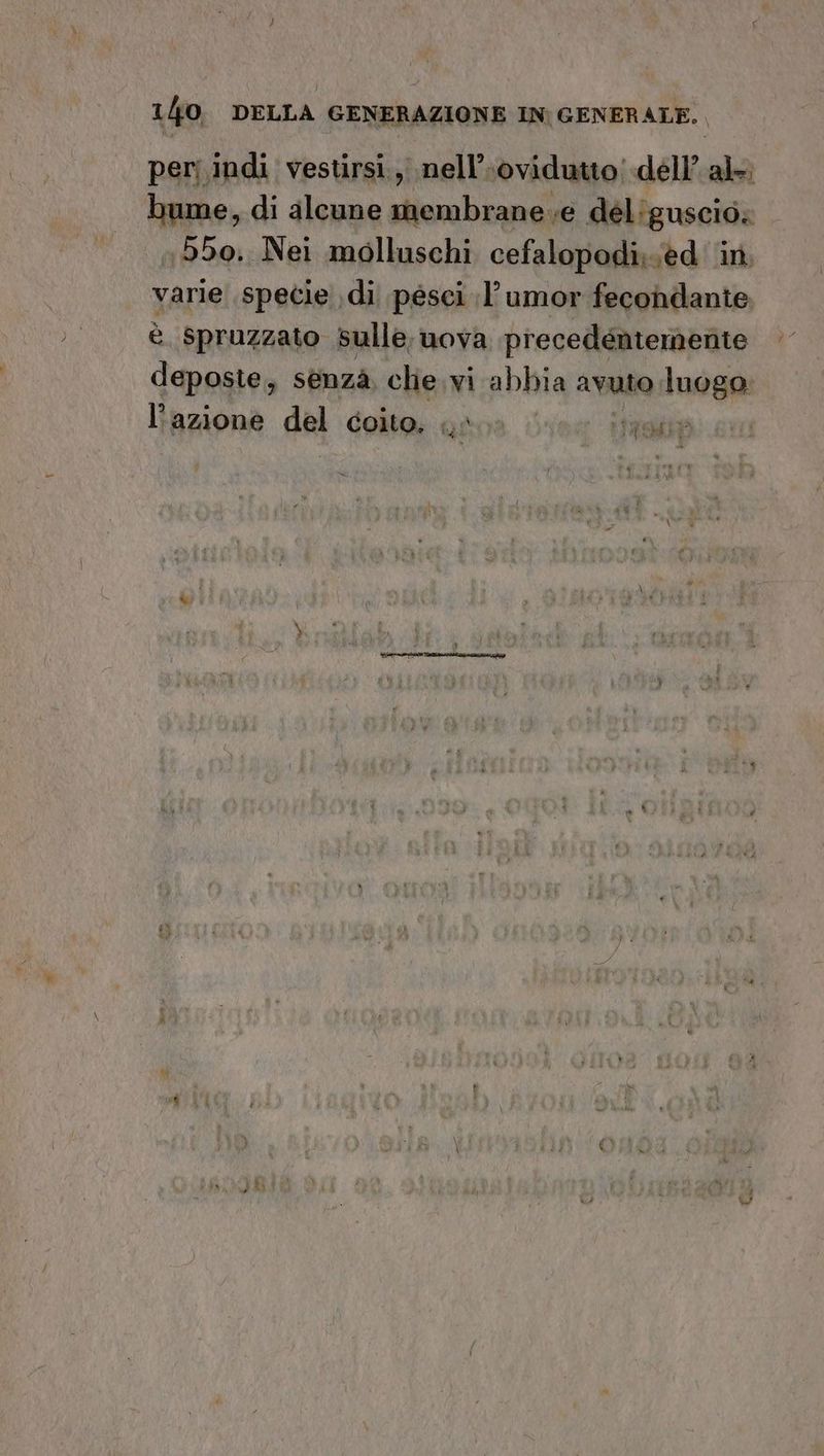 per; indi vestirsi, nell’.ovidutto! dell’ al-; bume, di alcune membrane e dél'guscio: 1550: Nei molluschi cefalopodi..èd ‘in. varie specie di pesci l’umor fecondante è spruzzato sulle, uova precedéniemenie deposte, sènzà. chie vi abbia avuto luogo l’azione del COÌLO, 1° ant