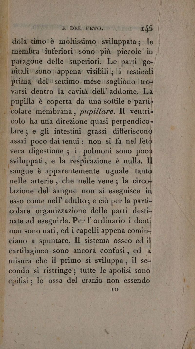 È 1 ;i dolà timo è moltissimo sviluppata ; ni | prima ‘del settimo, mese ‘sagliono! ‘tro+ varsi dentro la cavità dell'addome. L colo ha una direzione quasi perpendico assai poco dai tenui: non si fa nel fet vera digestione ; i polmoni sono poc sviluppati, e la respirazione è nulla. I x nelle arterie, che nelle vene; la circo lazione del sangue non si eseguisce in esso come nell’ adulto ; e ciò per la parti nate ad eseguirla. Per l’ordinario i denti non sono nati, ed i capelli appena comin ciano a spuntare. Il sistema osseo ed i cartilagineo sono ancora confusi, ed condo si ristringe; tutte le apofisi sono IO