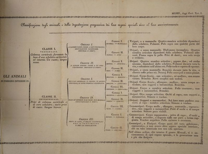 e s ur. CLASSE L VERTEBRATI. Colonna vertebrale formante la ed interno. Un cuore; sangue rosso. ] ,I ANIMALI | OSSONO DIVIDERE IN | CLASSE II INVERTEBRATI. È. Tr. | «i cuore. Sangue bianco. n Genere DL ORDINE I. A SANGUE CALDO. CUORE A DUE VENTRICOLI.. ) RESPIRAZIONE PULMONARE. CERVELLO E NERVI. Genere II, UGCELLI., — A47ES .. GexerE T. OrDINE IT. ; | RETTILI. — AMPHIBIA: % SANGUE FREDDO. CUORE A UN SOLO ENTRICOLO. CERVELLO E NERVI... di Genere II. PESCI. — PISCES.'... Genrre I. Genere IL GENERE I. P7) OrpINE IL /PRIVI D'ARTERIE E DI VENE. CON MIDOLLA LONGITUDINALE L NERVI: Genere IL Gexene IT. : VERMI. — PERMES. . Genere I, RADIARI. — RADIARIA:, Oaprne Ill. VERTE E PRIVI DI CAPO, D' ORGANI PARTICOLARI PER IL SENTIMENTO: E PER LA CIRCOLAZIONE. Genene IT. - Vivipari, e a mammelle. Quattro membra articolate dipendenti dallo scheletro. Polmoni. Pelo sopra una qualche parte del loro corpo. Ovipari, e senza mammelle. Diaframma incompleto, Quattro membra articolate dipendenti dallo scheletro. Polmoni ade- | | I e ovidotto. nessune, dipendenti dallo scheletro. Polmoni durante tutta la. vita, o. solamente nell’ultima età. Pelle nuda o coperta disquame. Ovipari, e senza mammelle: Branchie durante tutta la vita, o almeno nella prima età. Natatoj. Pelle senza peli e senza piume. Ovipari. Corpo floscio ,, non articolato, nè anellato.,, con manto ‘variato. Branchie. Nervi semplici non: nodosi, OrRDINE I. | ai DA CON VASI ARTERIOSI E VENOSI: IN ALCUNI IENERE È bo aa 7 o. x i vipari. Corpo floscio .. allungat ato... za: Za Ata CERVELLO, IN ALTRI MIDOLLA ALLUNGATA. |NNELLIDI. — ANELLIDES: b po ICH gato, anellato,, senza: zampe al ticolate ;. non: soggetti a. metamorfosi. Branchie. soggetti a metamorfosi, Branchie. Ovipari. Otto zampe articolate. Occhi al capo; non soggetti a: metamorfosi. Stimate e trachee. Ovipari. Soggetti a metamorfosi. Nel loro: stato: perfetto. con occhi al capo : membra articolate Stimate e trachee. { Gemmovipari.. Corpo molle, allungato, contrattile ; regenera- tivo, non soggetti a metamorfosi. Privi d’ occhi e di zampe: articolate. Stimate: poco visibili. Gemmovipari. Corpo regenerativo ,, privo di capo, d’occhi , di zampe articolate, e disposto nelle sue parti a forma rag- giante. Trachee acquifere. Pelle coriacea o. crostacea. — Î O Gemmipari ,, e Fissipari. Corpo: quasi del tutto gelatinoso, regenerativo, e non avente altro. organo. speciale interiore , che un tubo intestinale con una: sola. apertura. Nell'ultimo: ordine, che termina il genere Monadî, vi è an- nientamento di ogni organo. speciale, e la generazione non è più che fissipara. ge acilia f = Pai Dal n RL LAN SA? ». MZAIVIIAZ7IOzIOZ: 2) c LORIA PIANTO IDA L | ERRO x
