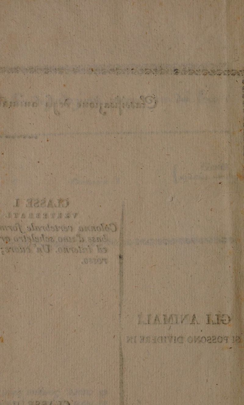 ta P$ <A NITÀ % A ipa MCT CIALE.