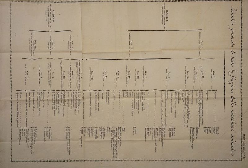 bu le PROERAERUMIAUIUARIALELE NL LALA DN LANA ANA SENSINI ENI SRI ANITA: ARA LTAANA!LAVANALVAVNALANAANAW TESE ENO VANTA CLASSE LL FUNZIONI CONSERVATRICI DELLA VITA È RELATIVE ALL’ INDIVIDUO. CLASSE II FUNZIONI GENERATIVE E CHE HANNO RAPPORTO ALLA SPECIE. — n Ì i Gen. IL SENGBAZIONI. . 00 < #.060%. Gen. IL FACOLTA” INTELLETTUALI, . . ++ Orp. I. FUNZIONI DELLA VITA ANIMALE. FUNZIONI DELLA VITA ORGANICA. Attitudini immobili. . . - Gen. III. CONTRAZIONE MUSCOLARE è. . +. Gen. IV. VOCE, E SUE MODIFICAZIONI è... gmito , abbajamento , ecc. diglio , ecc. Gen. I. DIGESTIORE. ... Arteriosa e venosa. Azione . Gen. II CIRCOLAZIONE DEL SANGUE . . . . Nel feto umano. Gen. III. Ì Inspirazione ed espirazione. RESPIRAZIONE se sl she Fenomeni chimici , relatipî . Orp. 1I. ni Linfatica. Sierosa. Sinoviale. Midollare. Gellalarene . Goran Gen. IV. ASSORBIMENTO ED ESALAZIONE . . . . . . è 00 0 . . Inv genere : «SO Gen. V. SECREZIONI. +... 0° In particolare. . . . » Materie assimilatrici. . . . Sue modificazioni. Gen. VI. . . . NUTRIZIONE... ..% ; Considera. Re Decrescimento , e morte senile. Suoi fenomeni negli animali . Gen. VII, Di, ni : ORIANA Cagioni produttrici del calore animale Cause capaci.a diminuire il calore animale . La ve Gen? I. ; FENOMENI E CAMBIAMENTI ORGANICI cHe succe- f Al sistema sanguigno, DONO NELL’UOMO ALL’ETA” DELLA PUBERTA?, | Al totale accrescimento del corpo. Relativi . ......... +++ + + < Allo sviluppo della barba, AI cambiamento di tuono della Agli incitamenti al coito. Orp. I. Gen. II FUNZIONI PROPRIE AL SESSO DI ASCOLINO. USO E FUNZIONI DELLE PARTI GENITALI Erezione del membro virile. DELL’ UOMO .... Secrezione dello sperma . . ‘Alle facoltà intellettuali. Gen. III EFFETTI DELLA CASTRATURA NEL CORPO a Agli organi vocali. Nene i, Relativi AE, e de te non svilupparsi della barba. All’ impossibilità di generare. Orp:=1I. Gen. T. Al coprirsi di pel il pudis. FUNZIONI PROPRIE AL SESSO FENOMENI CHE SUCCEDONO NELLA DONNA FEMMININO. ( Allo scolo menstruale . | . Agli incitamenti al coito. Gen. I. Accoppiamento, DELLA GENERAZIONE. ... + . 3 Degli animali vivipari e degli Degli animali ermafroditi. Orp. III. VUNZIONI RELATIVE ALL’ UNIONE DE DUP SESSI ED AL PRODOTTO CHE NE RISULTA, Durata della gravidanza. Gen. II: . ALL’ ETA” DELLA PUBERTA’. Relatipi. . . DELLA GRAVIDANZA E DEL FETO . Del.parto Ni a è» . + 3 della madre col feto I’ adulto. PONS are , . . voce, aj MOJON , Zeggî Fisiol. Tav. Il. PS $ ; 9 Piacevoli. À Ò di Dolorose. 9 2. MTRalnterne. È Esterne. b) Visione. vj Udito. ELY dorato, 9) Gusto. s. Tatto. DI b7 Ò Stazione. DI * ©‘ È Prostrazione, ecc. O) Passo, corsa, salto. i Sostenere od innalzare dei pesì. Natazione , volo, ec. IBIS dè nb AS r ‘ Nella bocca. CRI Nello stomaco. Negli intestini. . Nelle glandole mesenteriche. Nel condotto toracico. Nel sistema venoso. È; vasi lattei. +» Loro qualità. Movimento peristaltico degli intestini. Gas intestinali. Loro evacuazione. Del cuore. Delle arterie. Delle vene. Del sistema capillare. PIDPIRRISI II RISI RI RL}: DA; NI Neo AI aria. Al sangue. 6 Adipe. Lino Azione degli organi secreto}. °. } Escrezione degli umori. Delle lagrime , del cerume degli orecchi, del moccio delle narici. Della saliva del sugo astrico , della bile, dell'umore pancreatico dell urina , dello sperma, ecc. Chilo. Sangue. an 9) PNLINNMRA AAA > Nell’ infanzia. Nella giovinezzà. Nell età adulta. Nella vecchiaja. 3 77/7 IN îì A sangue caldo: ; DA sangue freddo. Respirazione. Digestione. Assorbimento. Moto , ecc. i . . Sonno. Fame e seta Inazione. (. Legatura , compressione , ecc. NE AN 5 Suo passaggio attraverso i vasi deferenti. Sua dimora nelle vescicole seminali Sua ejaculazione. _ SIINO IITRZIV A Suo cominciamento. Sua periodicità. — necessità. — qualità. — cessazione totale. Della placenta. Del funicolo ombelicale. ; Delle acque dell’ amnios e del corion. Delle membrane che avvolgono il feto. Al momento della concezione. Durante la gravidanza. Nel parto. Sua epoca, è Suo meccanismo. Cause che lo producono.