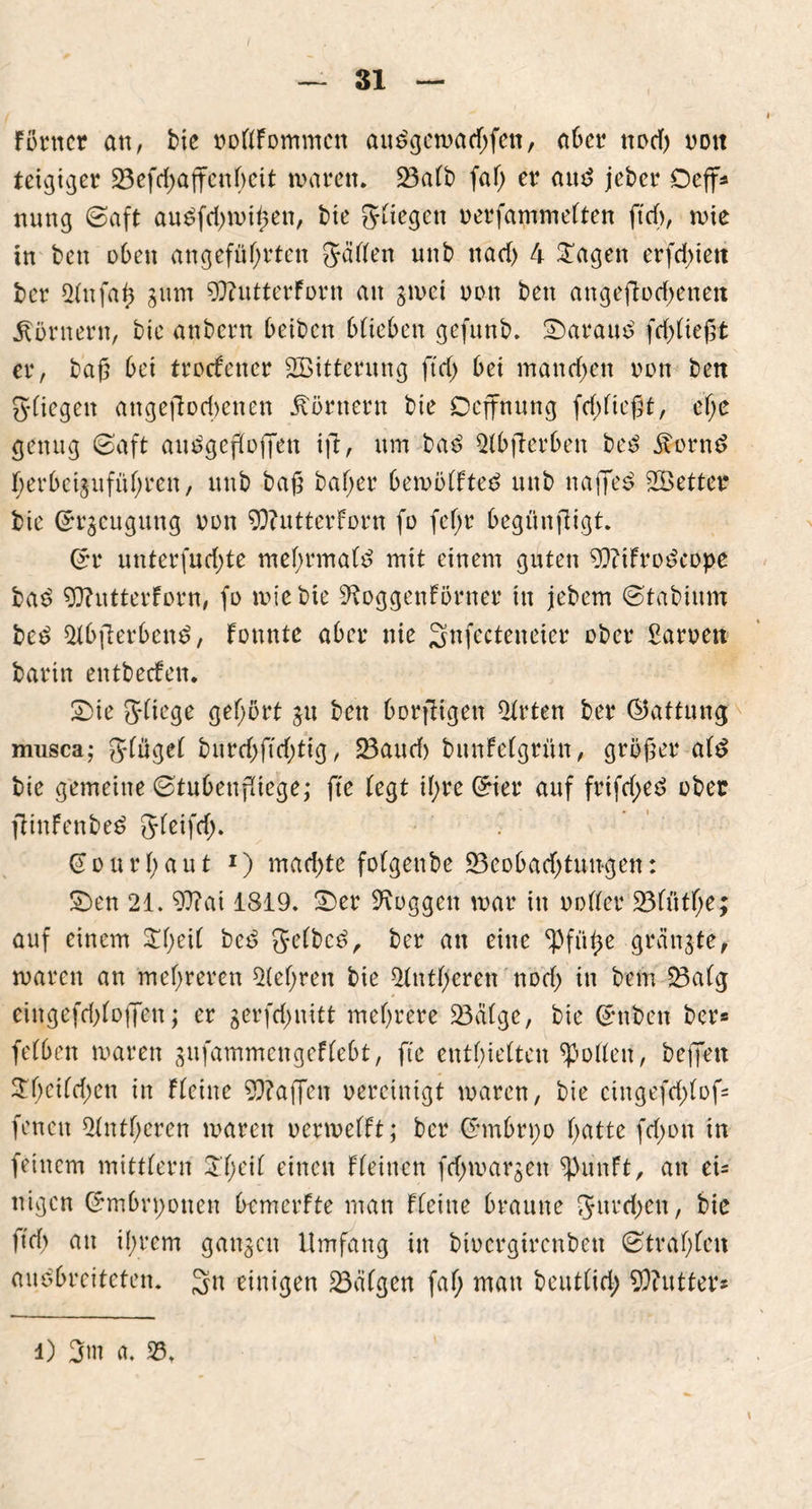 31 ferner cm, bie »oßfommen audgematf;fen, aber nod) oott teigiger 23cfd>affenf>eit maren. 23afb faf> er aud jeber Oeff* nung ©aft audfdjmißen, bie Riegen oerfammeften ft cf), mie in ben oben angeführten gaffen unb nach 4 £agen erfd>iett ber 2fnfaß sum 9ftutterforn an smei non ben angejlodjenen Körnern, bie anbern beiben bfieben gefunb. Staraud fdjfießt er, baß bei troefener SBitterung fuß bei manchen een ben gfiegett angejlocßenen Körnern bie Oeffnnng fddießt, ef;e genug ©aft audgeßoffen ift, um bad 2fbjlerben bed Äornd ßerbeigufüßren, unb baß baßer bemöffted unb naffed SÖetter bie ©rseugung non 9)?utterForn fo feßr begünjligt. Grr unterfud;te meßrmafd mit einem guten 9)?tfrodcope bad Wutterforn, fo mie bie Sftoggenförner in jebem ©tabium bed 2lbfterbend, tonnte aber nie gnfcctencier ober £aroett barin entbeefen. 2)ie gfiege gefjört $u ben borftigen 2Xrten ber (Gattung musca; gfugef bureßfteßtig, 23aud) bunfefgrürt, größer afd bie gemeine ©tubenßiege; fte fegt ißre ©ier auf frtfd;ed ober ftinfenbed gfeifeß. (Jourßaut x) mad)te fofgenbe 23eobad)tun-gen: £>en 21. 97?ai 1819. 2)er loggen mar in ooffer 23fütße; auf einem $ßeif bed gefbed, ber an eine ^Pfüße grünste, maren an mehreren Beßren bie 2fntßeren nod) in bem 23afg eingefd)foffen; er gerfdmitt mehrere 23üfge, bie Grnben ber* fefben maren sufammengeffebt, fte enthielten hoffen, befielt £ßeifd)en in ffeine Waffen vereinigt maren, bie cingefd;fof= fenen 2fntßeren maren oermefft; ber ©mbrpo hatte fdjon in feinem mittfern J'heif einen ffeinen fd^margen ^unft, an et* nigen ©mbrponcn bemerfte man ffeine braune gureßen, bie ftd> au ißrem ganzen Umfang in btocrgircnbeu ©traf;len audbreiteten. Sn einigen 23üfgen faß man beutfid; 9)?utter* i) 2m a. 33.