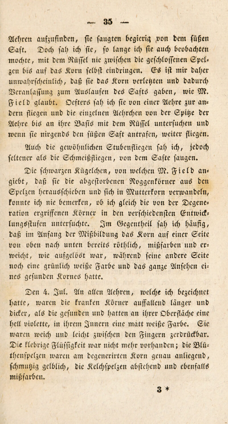 legren anfgugnbcn, fte faugtett begierig «uon bem fügen 0aft. Sod; fag id; fte, fo lange id) fte aud; beobacgten mochte, mit bem '•Hügel nie gmifd;en bie gefdjfoffenen @pel* gen bid auf bad jtorn felbg etnbvingen. @4d tg mit4 bager unmagrfri;einlid;, bag fte bad jtorn verlegten unb baburd; Veranlagung gum 21u3laufett bed 0aftd gaben, mte 97?. gielb glaubt. Defterd fag id; fte non einet4 91egre gur an* bern fliegen unb bie einseinen 21el;rrf;en nun ber 0pige ber Slegre bid an tgre 23aftd mit bem £Hügel unterfud;en unb mentt fte nirgenbd ben fügen 0aft antrafen, meiter giegen. 2Uttf; bie gemögnlidten (Stubenfliegen fag id), jebocg feltener ald bie 0d;meigfliegen, non bem (safte faugen. Sic fd;margett itiigcldjen, non melden 97?. §ielb an* giebt, bag fte bie abgegebenen 9?üggenFörner aud ben (spelgen geraudfd;ieben unb fteg in 97?utterForn vermanbeln, Fennte id) nie bemerFen, ub id) gleid; bie non ber Segene* ration ergriffenen Körner in ben verfd;iebenfien (Jntmicf* lungdftufen nnterfud)te. 3m OJegentgeil fag id) gäuftg, bag im Anfang ber 97?igbilbung bad £orn auf einer (Seite von oben nad; unten bereite rütglid;, migfarben unb er* meidet, tute aufgelodt mar, mägrenb feine anbere 0eite nod) eine grünlid; meige garbe unb bad gange 91nfegen ei* ned gefunben Äorned gatte. Sen 4. 3u(. $ln allen legren, melrf;e id) begeid;nct gatte, maren bie Franfen Corner augallenb länger unb bicFer, ald bie gefunben unb gatten an igrer Obcrgäd)e eine gell violette, in igrem Säuern eine matt meige garbe. (sie maren meid; unb leid;t gmifd;en ben giugern gerbrücFbar. Sie Fiebrige glüfftgFeit mar nid;t megr uorganben; bie 231it* tgenfpelgen maren am begenerirten iturn genau anliegcnb, fd;rmtgig gelblid;, bie ^eld;fpelgen abgegenb unb ebenfalls migfarben. 3 *