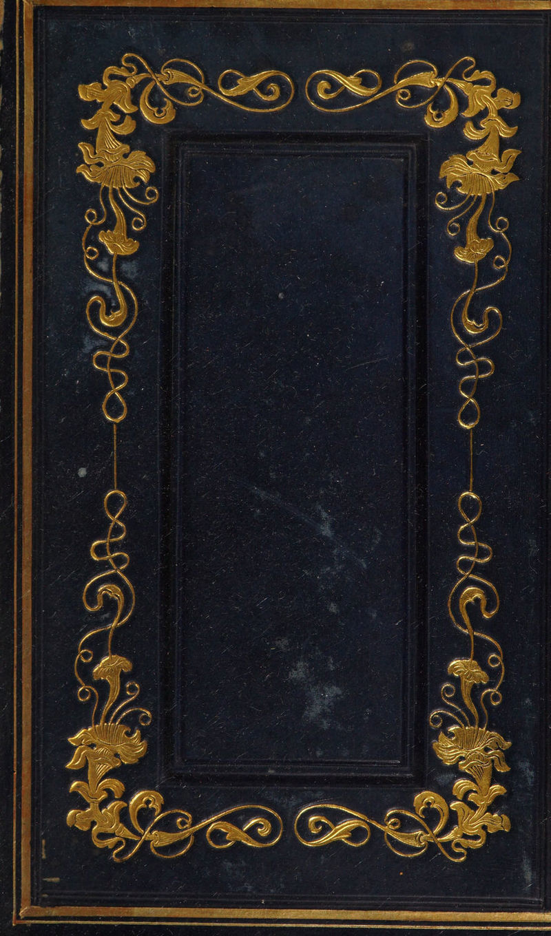 No text description is available for this image