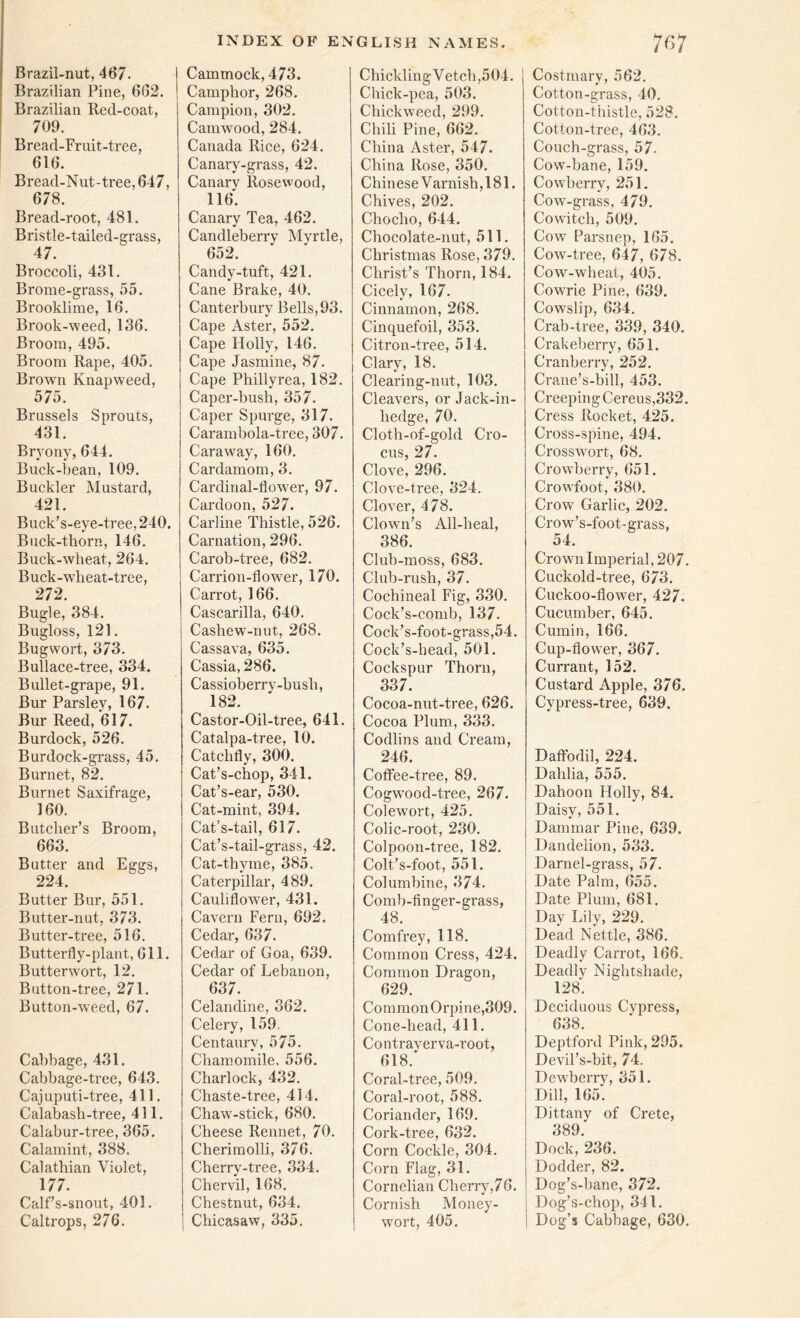 Brazil-nut, 467. Brazilian Pine, 662. Brazilian Red-coat, 709. Bread-Fruit-tree, 616. Bread-Nut-tree, 647, 678. Bread-root, 481. Bristle-tailed-grass, 47. Broccoli, 431. Brome-grass, 55. Brooklime, 16. Brook-weed, 136. Broom, 495. Broom Rape, 405. Brown Knapweed, 575. Brussels Sprouts, 431. Bryony, 644. Buck-bean, 109. Buckler Mustard, 421. Buck’s-eye-tree, 240. Buck-thorn, 146. Buck-wheat, 264. Buck-wdieat-tree, 272 Bugle, 384. Bugloss, 121. Bugwort, 373. Bullace-tree, 334. Bullet-grape, 91. Bur Parsley, 167. Bur Reed, 617. Burdock, 526. Burdock-grass, 45. Burnet, 82. Burnet Saxifrage, 160. Butcher’s Broom, 663. Butter and Eggs, 224. Butter Bur, 551. Butter-nut, 373. Butter-tree, 516. Butterfly-plant, 611. Butterwmrt, 12. Button-tree, 271. Button-weed, 67. Cabbage, 431. Cabbage-tree, 643. Cajuputi-tree, 411. Calabash-tree, 411. Calabur-tree, 365. Calamint, 388. Calathian Violet, 177. Calf’s-snout, 401. Caltrops, 276. Cammock, 473. Camphor, 268. Campion, 302. Camwood, 284. Canada Rice, 624. Canary-grass, 42. Canary Rosewood, 116. Canary Tea, 462. Candleberry Myrtle, 652. Candy-tuft, 421. Cane Brake, 40. Canterbury Bells,93. Cape Aster, 552. Cape Holly, 146. Cape Jasmine, 87. Cape Phillyrea, 182. Caper-bush, 357. Caper Spurge, 317. Carambola-tree, 307. Caraway, 160. Cardamom, 3. Cardinal-flower, 97. Cardoon, 527. Carline Thistle, 526. Carnation, 296. Carob-tree, 682. Carrion-flowrer, 170. Carrot, 166. Cascarilla, 640. Cashew-nut, 268. Cassava, 635. Cassia, 286. Cassioberry-bush, 182. Castor-Oil-tree, 641. Catalpa-tree, 10. Catchfly, 300. Cat’s-chop, 341. Cat’s-ear, 530. Cat-mint, 394. Cat’s-tail, 617. Cat’s-tail-grass, 42. Cat-thyme, 385. Caterpillar, 489. Cauliflower, 431. Cavern Fern, 692. Cedar, 637. Cedar of Goa, 639. Cedar of Lebanon, 637. Celandine, 362. Celery, 159. Centaury, 575. Chamomile, 556. Charlock, 432. Chaste-tree, 414. Chaw'-stick, 680. Cheese Rennet, 70. Cherimolli, 376. Cherry-tree, 334. Chervil, 168. Chestnut, 634. 1 Chicasaw, 335. Chickling Vetch,504. Cluck-pea, 503. Chickweed, 299. Chili Pine, 662. China Aster, 547. China Rose, 350. Chinese V arnish ,181. Chives, 202. Choclio, 644. Chocolate-nut, 511. Christmas Rose, 379. Christ’s Thorn, 184. Cicely, 167. Cinnamon, 268. Cinquefoil, 353. Citron-tree, 514. Clary, 18. Clearing-nut, 103. Cleavers, or Jack-in- liedge, 70. Cloth-of-gold Cro- cus, 27. Clove, 296. Clove-tree, 324. Clover, 478. Clown’s All-heal, 386. Club-moss, 683. Club-rush, 37. Cochineal Fig, 330. Cock’s-comb, 137. Cock’s-foot-grass,54. Cock’s-head, 501. Cockspur Thorn, 337. Cocoa-nut-tree, 626. Cocoa Plum, 333. Codlins and Cream, 246. Coffee-tree, 89. Cogwood-tree, 267. Colewort, 425. Colic-root, 230. Colpoon-tree, 182. Colt’s-foot, 551. Columbine, 374. Comb-finger-grass, 48. Comfrey, 118. Common Cress, 424. Common Dragon, 629. Common Orpine,309. Cone-head, 411. Contrayerva-root, 618. Coral-tree, 509. Coral-root, 588. Coriander, 169. Cork-tree, 632. Corn Cockle, 304. Corn Flag, 31. Cornelian Cherry,76. Cornish Money- wort, 405. Costmary, 562. Cotton-grass, 40. Cotton-thistle, 528. Cotton-tree, 463. Couch-grass, 57- Cow-bane, 159. Cowberry, 251. Cow-grass, 479. Cowitch, 509. Cowr Parsnep, 165. Cow-tree, 647, 678. Cow-wheat, 405. Cowrie Pine, 639. Cowslip, 634. Crab-tree, 339, 340. Crakeberry, 651. Cranberry, 252. Crane’s-bill, 453. Creeping Cereus,332. Cress Rocket, 425. Cross-spine, 494. Crosswort, 68. Crowberry, 651. Crowfoot, 380. Crow Garlic, 202. Crowr’s-foot-grass, 54. Crown Imperial, 207. Cuckold-tree, 673. Cuckoo-flower, 427. Cucumber, 645. Cumin, 166. Cup-flower, 367. Currant, 152. Custard Apple, 376. Cypress-tree, 639. Daffodil, 224. Dahlia, 555. Dahoon Holly, 84. Daisy, 551. Dammar Pine, 639. Dandelion, 533. Darnel-grass, 57. Date Palm, 655. Date Plum, 681. Day Lily, 229. Dead Nettle, 386. Deadly Carrot, 166. Deadly Nightshade, 128. Deciduous Cypress, 638. Deptford Pink, 295. Devil’s-bit, 74. Dewberry, 351. Dill, 165. Dittany of Crete, 389. Dock, 236. Dodder, 82. Dog’s-bane, 372. Dog’s-chop, 341. Dog’s Cabbage, 630.