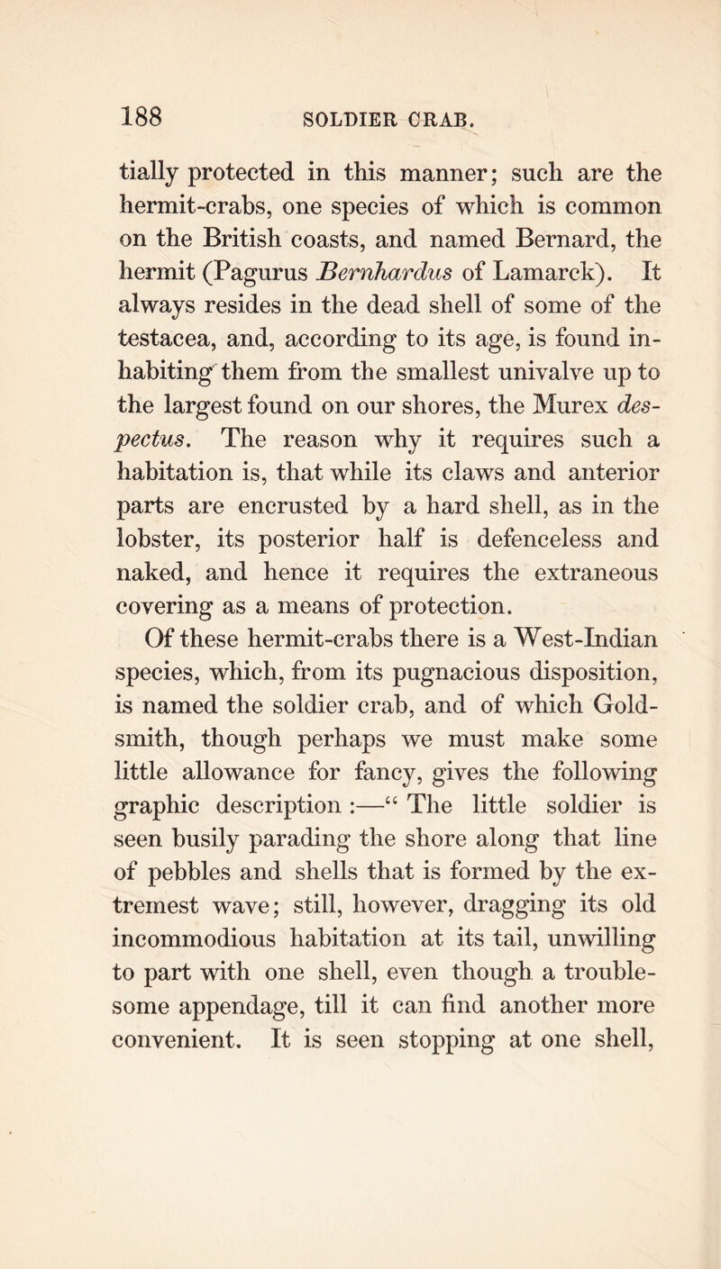 tially protected in this manner; such are the hermit-crabs, one species of which is common on the British coasts, and named Bernard, the hermit (Pagurus Bernhardus of Lamarck). It always resides in the dead shell of some of the testacea, and, according to its age, is found in- habiting them from the smallest univalve up to the largest found on our shores, the Murex des- pectus. The reason why it requires such a habitation is, that while its claws and anterior parts are encrusted by a hard shell, as in the lobster, its posterior half is defenceless and naked, and hence it requires the extraneous covering as a means of protection. Of these hermit-crabs there is a West-Indian species, which, from its pugnacious disposition, is named the soldier crab, and of which Gold- smith, though perhaps we must make some little allowance for fancy, gives the following graphic description :—“ The little soldier is seen busily parading the shore along that line of pebbles and shells that is formed by the ex- tremest wave; still, however, dragging its old incommodious habitation at its tail, unwilling to part with one shell, even though a trouble- some appendage, till it can find another more convenient. It is seen stopping at one shell,