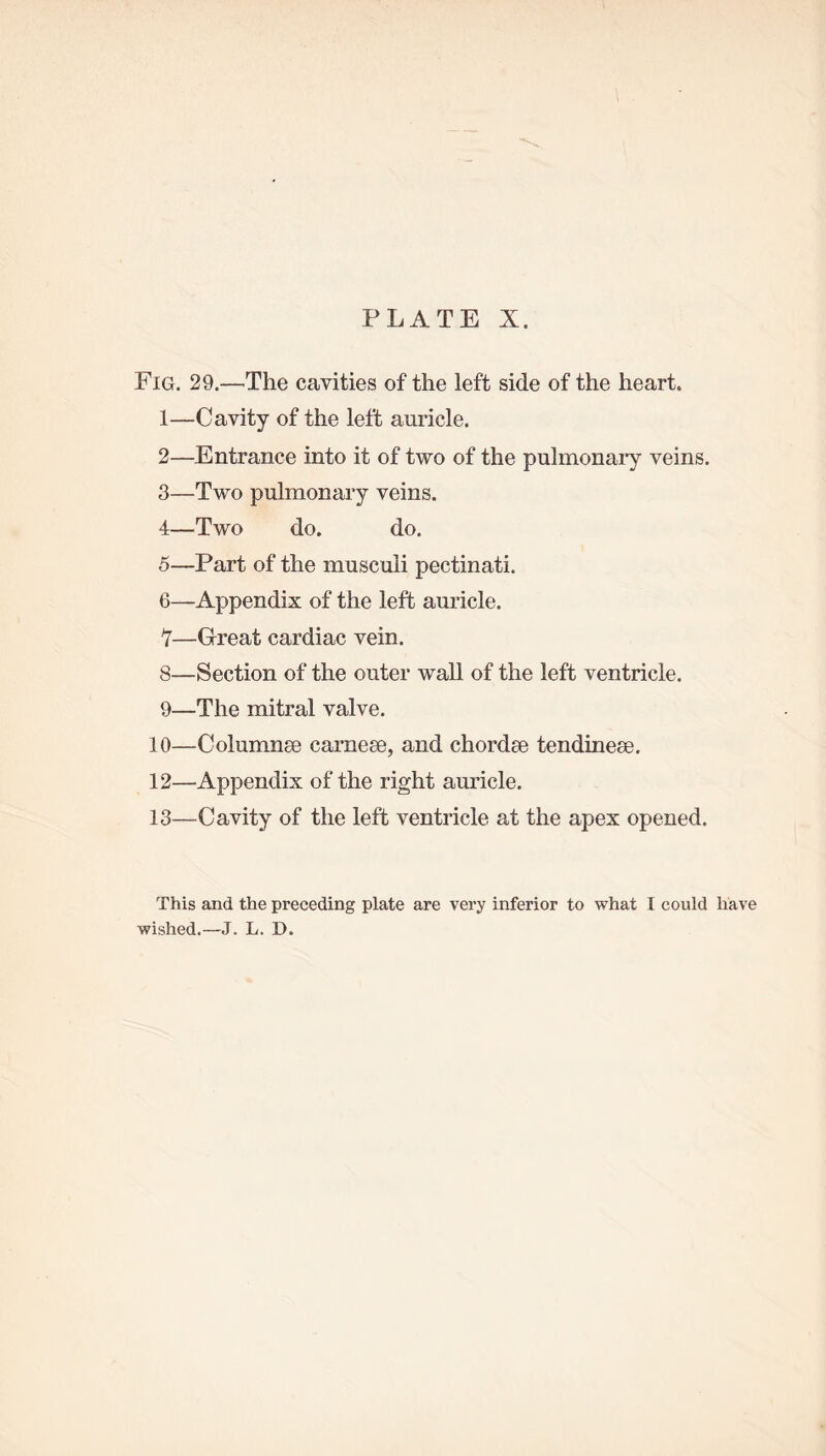 Fig. 29.—The cavities of the left side of the heart. 1— Cavity of the left auricle. 2— Entrance into it of two of the pulmonary veins. 3— Two pulmonary veins. 4— Two do. do. 5— Part of the musculi pectinati. 6— Appendix of the left auricle. 1—Great cardiac vein. 8— Section of the outer wall of the left ventricle. 9— The mitral valve. 10—Columnse carnese, and chordae tendinese. 12— Appendix of the right auricle. 13— Cavity of the left ventricle at the apex opened. This and the preceding plate are very inferior to what I could have wished.—J. L. D.