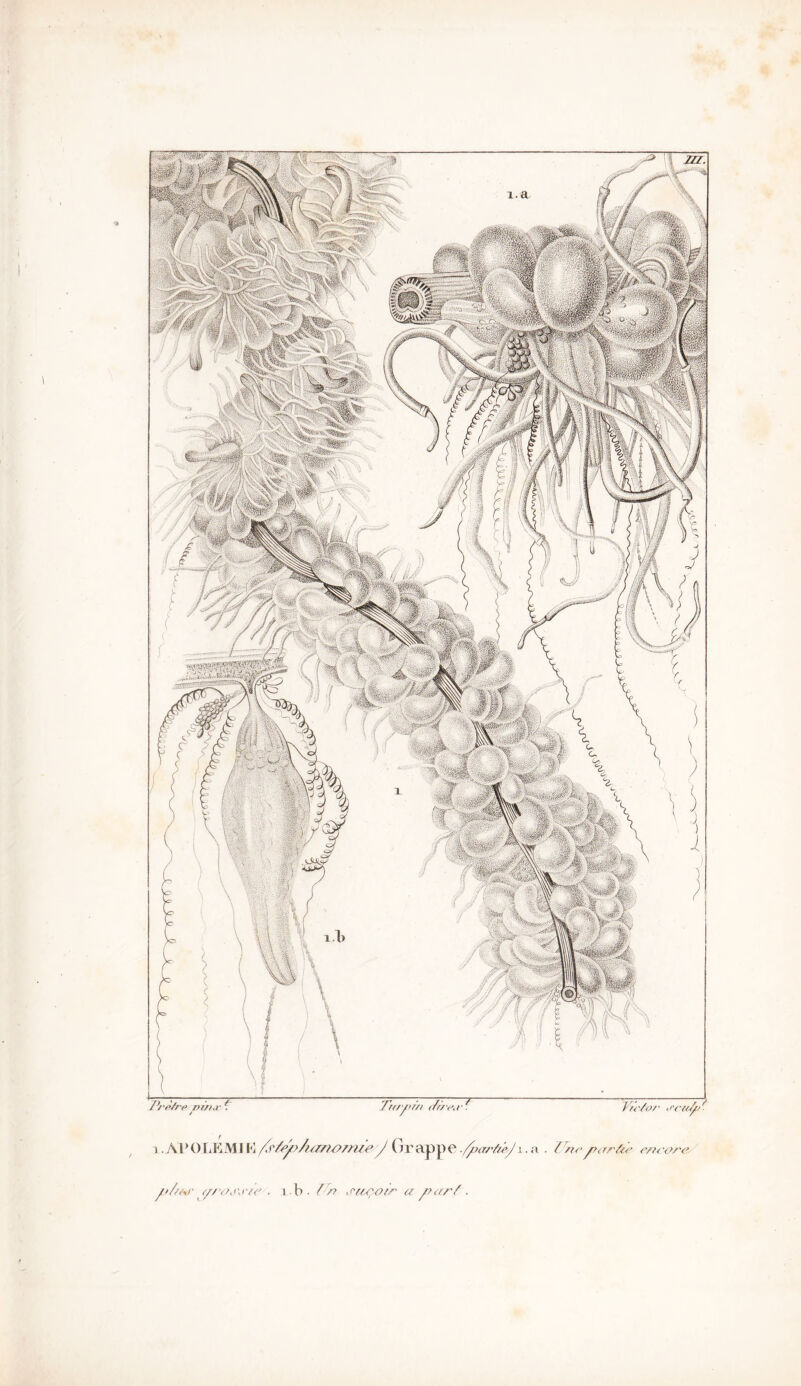 o/tM' <//'Oj\rte . 1 b ■ f rt ^teçoer a y?<rtrZ ■