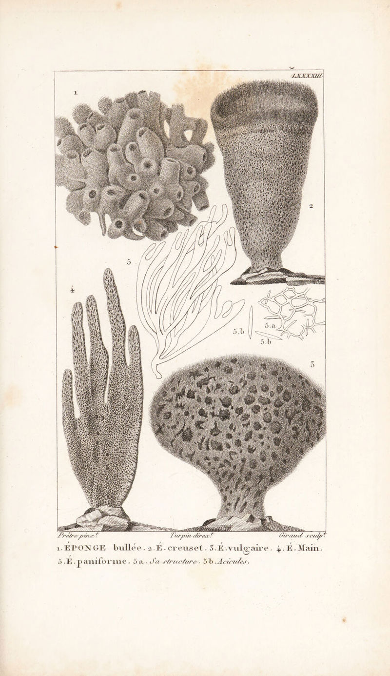 P§pp$ . 2Sp ihraftt/ j-cnlp ■ 7\trp i/v f/ireur 'e aauv î.EPONOE buttée. 2. E. creuset. 3. F. .vu 1 praire . i. E.Maiu. o