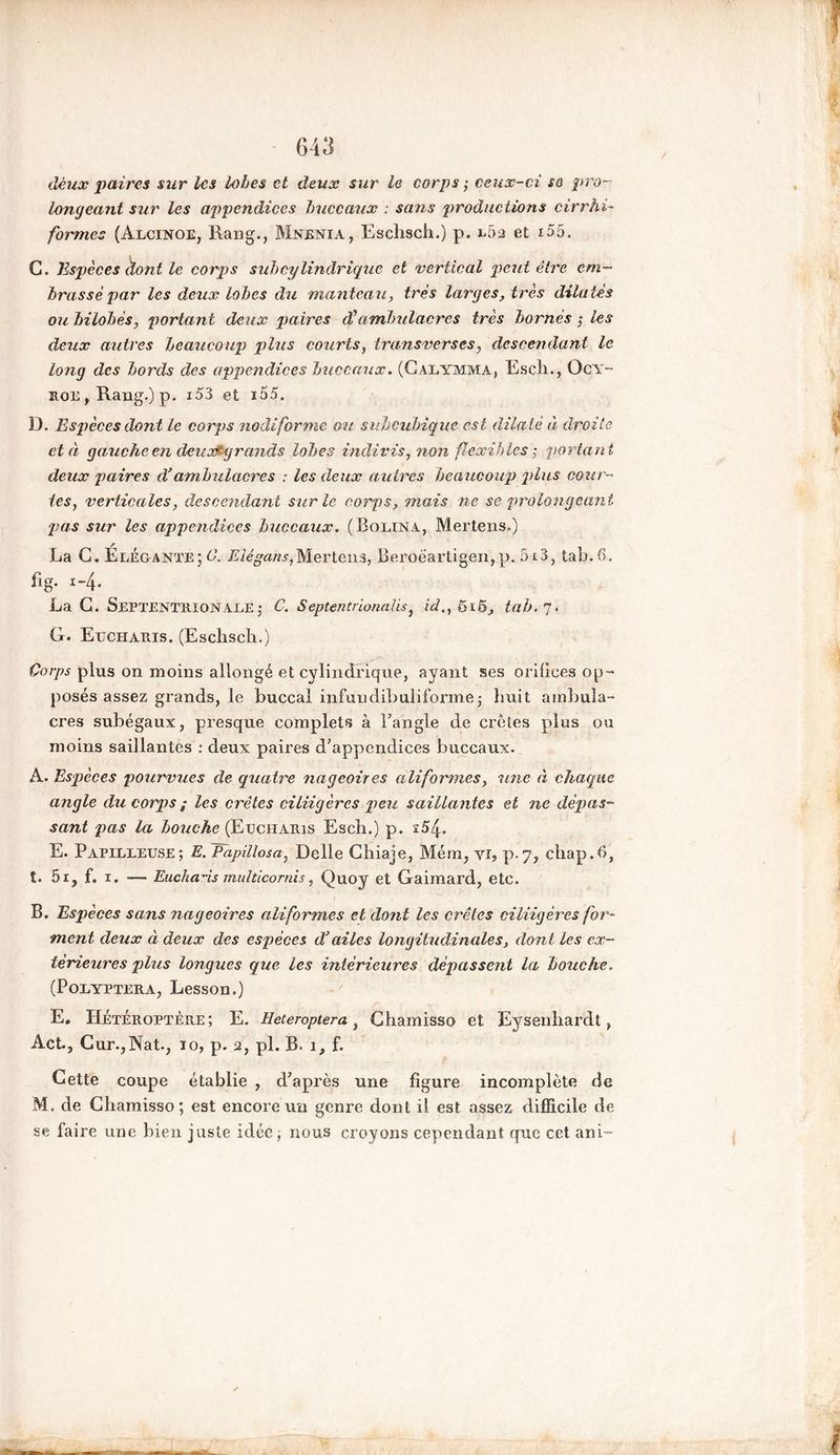 G43 deux paires sur les lobes et deux sur le corps ; ceux-ci sa pro- longeant sur les appendices buccaux : sans productions cirrhi■* formes (Alcinoe, Rang., Mnenia, Esclisch.) p. l52 et i55. C. Espèces dont le corps subcylindrique et vertical peut être em- brasse par les deux lobes du manteau, très larges, très dilatés ou bilobès, portant deux paires dJ ambulacres très bornés ; les deux autres beaucoup plus courts, transverses, descendant le long des bords des appendices buccaux. (Calymma, Esch., Ocy- ïioe , Rang.) p. i53 et 155. D. Espèces dont le corps nodiforme ou subcubique est dilaté à droite et à gauche en deux?grands lobes indivis, non flexibles ; portan t deux paires cVambulacres : les deux autres beaucoup plus cour- tes, verticales, descendant sur le corps, mais ne se prolongeant ■pas sur les appendices buccaux. (Bqlina, Mertens.) La G. Élégante; 6\ Elégans,Mertens, Beroeartigen,p. 5x3, tab.ô. fig. x-4. La G. Septentrionale; C. Septentrlonalis, id.,6tab.j. G. Egcharis. (Esclisch.) Corps plus on moins allongé et cylindrique, ayant ses orilices op- posés assez grands, le buccal infundibuliforme; huit ambula- cres subégaux, presque complets à l’angle de crêtes plus ou moins saillantes : deux paires d’appendices buccaux. A. Espèces pourvues de quatre nageoires aliformes, 'une à chaque angle du corps ; les crêtes ciliigères peu saillantes et ne dépas- sant pas la bouche (Eucharis Esch.) p. ï54« E. Papilleuse; E. Papillosa, Delle Ghiaje, Mém, yi, p. 7, chap.6, t. 5i, f. 1. — Euchads multicornis, Quoy et Gaimard, etc. B. Espèces sans nageoires aliformes et dont les crêtes ciliigères for- ment deux à deux des espèces d’ailes longitudinales, dont les ex- térieures plus longues que les intérieures dépassent la bouche. (Polyptera, Lesson.) E, HÉtÉroptÈre; E. Heteropiera, Chamisso et Eysenhardt , Act., Cur.,Nat., 10, p. 2, pi. B. 1, f. Cette coupe établie , d’après une figure incomplète de M. de Chamisso; est encore un genre dont il est assez difficile de se faire une bien juste idée, nous croyons cependant que cet ani-