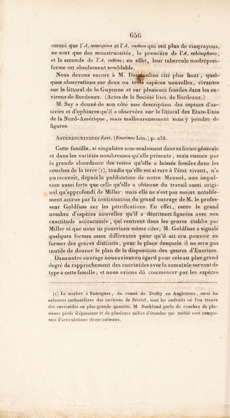 assuré que Y A. tenuispina et Y A. endeca qui ont plus de cinq rayons, ne sont que des monstruosités, la première de Y A. echinophom, et la seconde de Y A. rubens ; exi effet, leur tubercule madrépori- forme est absolument semblable. Nous devons encore à M. Desmoulins cité plus haut , quel- ques observations sur deux ou trois espèces nouvelles, vivantes sur le littoral de la Guyenne et sur plusieurs fossiles dans les en- virons de Bordeaux. (Actes de la Société linn. de Bordeaux.) M. Say a donné de son côté une description des espèces d'as- téries et d'ophiures qu'il a observées sur le littoral des Etats-Unis de la Nord-Amérique , mais malheureusement sans y joindre de figures. AsTÉRENCRmiDES fixés. (.Encrintts Lin.) p. 253. Cette famille, si singulière non-seulement dans sa forme générale et dans les variétés nombreuses qu’elle présente , mais encore par la grande abondance des restes qu'elle a laissés fossiles dans les couches de la terre (1), tandis qu'elle est si rare à l’état vivant, n'a pu recevoir, depuis la publication de notre Manuel, une impul- sion aussi forte que celle qu'elle a obtenue du travail aussi origi- nal qu’approfondi de Miller: mais elle ne s'est pas moins notable- ment accrue par la continuation du grand ouvrage deM. le profes- seur Goldfuss sur les pétrifications. En effet, outre le grand nombre d'espèces nouvelles qu’il a décrites et figurées avec son exactitude accoutumée , qui rentrent dans les genres établis par Miller et que nous ne pourrions même citer, M. Goldfuss a signalé quelques formes assez différentes pour qu’il ait cru pouvoir en former des genres distincts, pour la place desquels il ne sera pas inutile de donner le plan de la disposition des genres d'Èncrines. Dans notre ouvrage nous avions eu égard pour cela au plus grand degré de rapprochement des encrinides avec la comatule servant de type à cette famille ; et nous avions dû commencer par les espèces (i) Le marbre à Eutragues , du comté de Derby eu Angleterre, aussi les calcaires carbonifères des environs de Bristol, sont les endroits où l’on trouve des encrinides en plus grande quantité. M. Bucklaud parle de couches de plu- sieurs pieds d’épaisseur et de plusieurs milles d’étendue qui moitié sout compo- sées d’articulations de ces animaux.