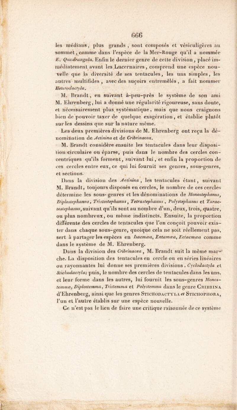 les médians, plus grands, sont composés et vésiculigères au sommet, comme dans l'espèce de la Mer-Rouge qu'il a nommée E. Qiïadrangula. Enfin le dernier genre de cette division , placé im- médiatement avant les Lucernaires, comprend une espèce nou- velle que la diversité de ses tentacules, les uns simples, les autres multifides , avec des suçoirs entremêlés, a fait nommer Heterodactyla. M. Brandt, en suivant à-peu-près le système de son ami M. Ehrenberg, lui a donné une régularité rigoureuse, sans doute, et nécessairement plus systématique, mais que nous craignons bien de pouvoir taxer de quelque exagération , et établie plutôt sur les dessins que sur la nature même. Les deux premières divisions de M. Ehrenberg ont reçu la dé- nomination de Actinina et de Cribrinacea. M. Brandt considère ensuite les tentacules dans leur disposi- tion circulaire ou éparse, puis dans le nombre des cercles con- centriques qu’ils forment, suivant lui, et enfin la proportion de ces cercles entre eux, ce qui lui fournit ses genres, sous-genres, et sections. Dans la division des Actinina, les tentacules étant, suivant M. Brandt, toujours disposés en cercles, le nombre de ces cercles détermine les sous-genres et les dénominations de Monostephanus, Diplostephanus, Tristostephanus, Tctrastephanus , Polystephanus et Tarac- tostephanus, suivant qu'ils sont au nombre d'un, deux, trois, quatre, ou plus nombreux, ou même indistincts. Ensuite, la proportion différente des cercles de tentacules que l'on conçoit pouvoir exis- ter dans chaque sous-genre, quoique cela ne soit réellement pas, sert à partager les espèces en lsacmœa, Entamœa, Ectacmæa comme dans le système de M. Ehrenberg. Dans la division des Cribrinacea, M. Brandt suit la même mar- che. La disposition des tentacules en cercle ou en séries linéaires ou rayonnantes lui donne ses premières divisions , Cyclodactyla et Sùchodactyla; puis, le nombre des cercles de tentacules dans les uns, et leur forme dans les autres, lui fournit les sous-genres Monos- temma, Diplostemma, Tristemma et Polystemma dans le genre Crtbrina d’Ehrenberg, ainsi que les genres Stichodactyla et Stichophora, l'un et l'autre établis sur une espèce nouvelle. Ce n'est pas le lieu de faire une critique raisonnée de ce système