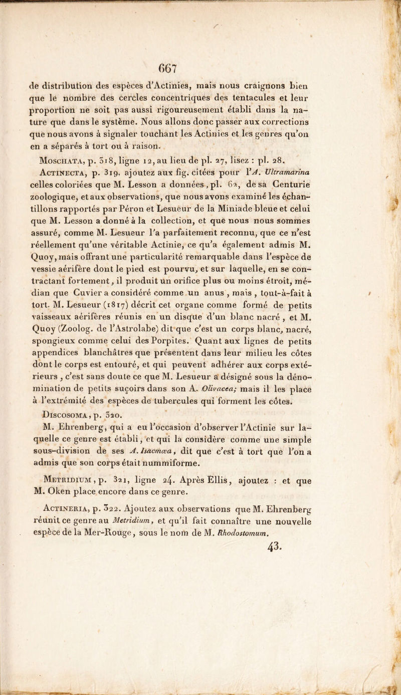 r G67 de distribution des espèces d’Actinies, mais nous craignons bien que le nombre des cercles concentriques des tentacules et leur proportion ne soit pas aussi rigoureusement établi dans la na- ture que dans le système. Nous allons donc passer aux corrections que nous avons à signaler touchant les Actinies et les genres qu’on en a séparés à tort ou à raison. Moschata, p. 518, ligne 12, au lieu de pl. 27, lisez : pl. 28. Actinecta, p. 3iç), ajoutez aux fîg. citées pour VA. Ultramarina celles coloriées que M. Lesson a données , pl. 62, de sa Centurie zoologique, et aux observations, que nous avons examiné les échan- tillons rapportés par Péron et Lesueur de la Miniade bleue et celui que M. Lesson a donné à la collection, et que nous nous sommes assuré, comme M. Lesueur La parfaitement reconnu, que ce n’est réellement qu’une véritable Actinie, ce qu’a également admis M. Quoy, mais offrant une particularité remarquable dans l’espèce de vessie aérifère dont le pied est pourvu, et sur laquelle, en se con- tractant fortement, il produit un orifice plus ou moins étroit, mé- dian que Cuvier a considéré comme un anus , mais , tout-à-fait à tort. M. Lesueur (1817) décrit cet organe comme formé de petits vaisseaux aérifères réunis en un disque d’un blanc nacré , et M. Quoy (Zoolog. de l’Astrolabe) dit que c’est un corps blanc, nacré, spongieux comme celui des Porpites. Quant aux lignes de petits appendices blanchâtres que présentent dans leur milieu les côtes dont le corps est entouré, et qui peuvent adhérer aux corps exté- rieurs , c’est sans doute ce que M. Lesueur a désigné sous la déno- mination de petits suçoirs dans son A. Olivacea; mais il les place à l’extrémité des espèces de tubercules qui forment les côtes. Discosoma » p. 320. M. Ehrenberg, qui a eu l’occasion d’observer l’Actinie sur la- quelle ce genre est établi, et qui la considère comme une simple sous-division de ses A. lsacmœa, dit que c’est à tort que l’on a admis que son corps était nummiforme. METRïDiUM,p. 3ai, ligne 24. Après Ellis, ajoutez : et que M. Oken place encore dans ce genre. Actineria, p. 322. Ajoutez aux observations que M. Ehrenberg réunit ce genre au Metridium, et qu’il fait connaître une nouvelle espèce de la Mer-Rouge, sous le nom de M. Rhodostomum. 43.