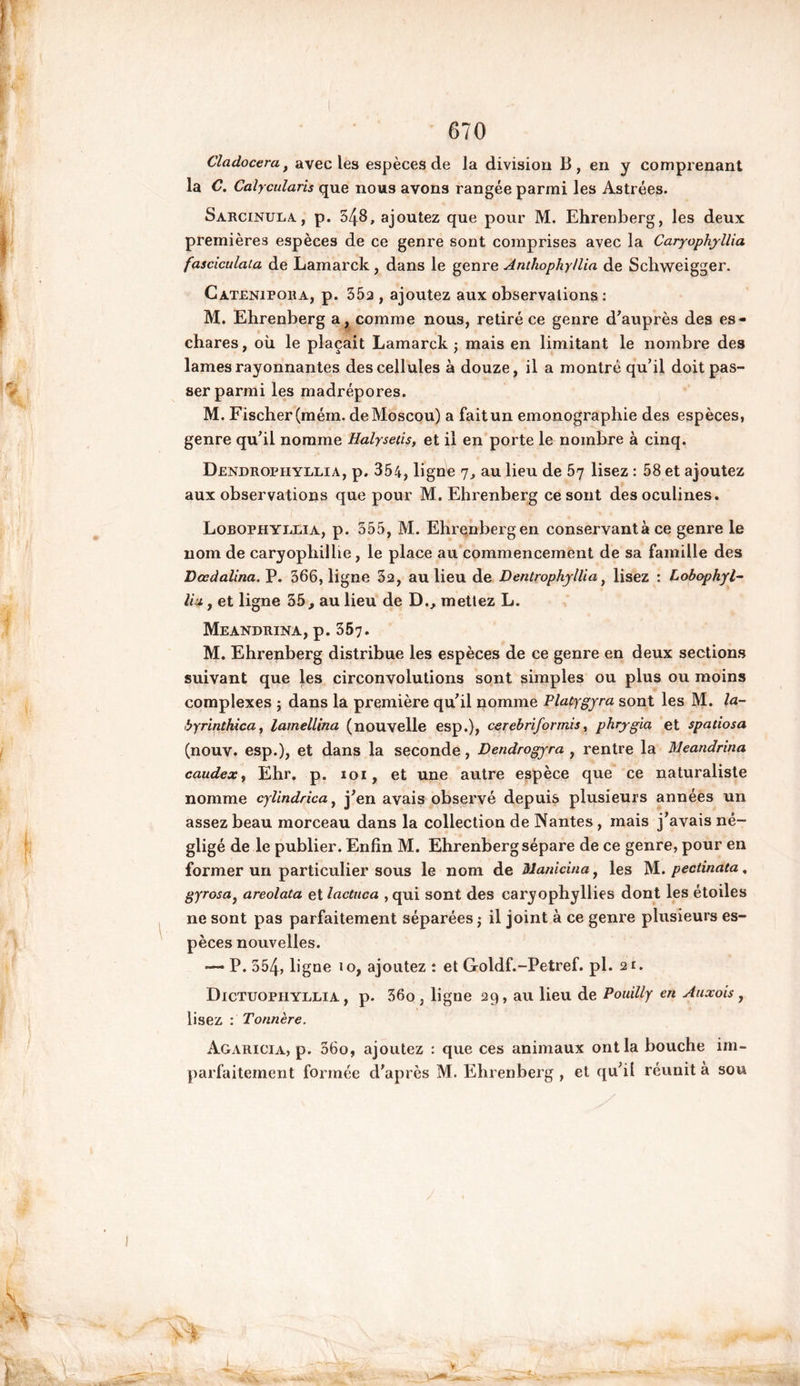 Cladocera, avec les espèces de la division B , en y comprenant la C. Calycularis que nous avons rangée parmi les Astrées. Sarcinula , p. 548, ajoutez que pour M. Ehrenberg, les deux premières espèces de ce genre sont comprises avec la Caryophyllia fasciculata de Lamarck , dans le genre Antkophy/lia de Scliweigger. Catenipora, p. 35a , ajoutez aux observations : M. Ehrenberg a, comme nous, retiré ce genre d'auprès des es- chares, où le plaçait Lamarck ; mais en limitant le nombre des lames rayonnantes des cellules à douze, il a montré qu’il doit pas- ser parmi les madrépores. M. Fischer(mém. deMoscou) a faitun emonographie des espèces, genre qu’il nomme Halysetis, et il en porte le nombre à cinq. Dendrophyllia, p. 354, ligne 7, au lieu de lisez : 58 et ajoutez aux observations que pour M. Ehrenberg ce sont desoculines. Loeophyllia, p. 555, M. Ehrenberg en conservante ce genre le nom de caryophillie, le place au commencement de sa famille des Dœdalina.Y. 366, ligne 32, au lieu de Detitrophyllia, lisez : Lobophyl- lia y et ligne 55 , au lieu de D., mettez L. Meandrina, p. 357. M. Ehrenberg distribue les espèces de ce genre en deux sections suivant que les circonvolutions sont simples ou plus ou moins complexes ; dans la première qu’il nomme Platygyra sont les M. la- byrinthica, lamellina (nouvelle esp.), cercbrifonnis, phrygia et spatiosa (nouv. esp.), et dans la seconde, Dendrogyra , rentre la Meandrina caudexy Ehr. p. 101, et une autre espèce que ce naturaliste nomme cylindrica, j’en avais observé depuis plusieurs années un assez beau morceau dans la collection de Nantes, mais j’avais né- gligé de le publier. Enfin M. Ehrenberg sépare de ce genre, pour en former un particulier sous le nom de Manicina, les M. pectinata, gyrosa} areolata et lactuca , qui sont des caryophyllies dont les étoiles ne sont pas parfaitement séparées ; il joint à ce genre plusieurs es- pèces nouvelles. — P. 354, ligne 10, ajoutez : et Goldf.-Petref. pl. 21. Dictuopiiyllia , p. 36o , ligne 29, au lieu de Pouilly en Auxois , lisez : Tonnère. Agaricia, p. 36o, ajoutez : que ces animaux ont la bouche im- parfaitement formée d'après M. Ehrenberg , et qu’il réunit à sou
