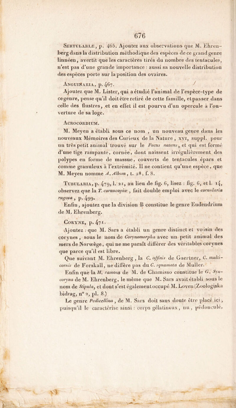 SiïRTUX.AiiiÆ, p. 465. Ajoutez aux observations que M. Ehren- berg dans la distribution méthodique des espèces de ce grand genre linnéen, avertit que les caractères tirés du nombre des tentacules, n’est pas d’une grande importance : aussi sa nouvelle distribution des espèces porte sur la position des ovaires. Anguinaria, p. 467. / Ajoutez que M. Lister, qui a étudié l’animal de l’espèce-type de ce genre, pense qu’il doit être retiré de cette famille, et passer dans celle des flustres, et en effet il est pourvu d’un opercule à l'ou- verture de sa loge. Acrocorditjm. M. Meyen a établi sous ce nom , un nouveau genre dans les nouveaux Mémoires des Curieux de la Nature , xvi, suppl. pour un très petit animal trouvé sur le Fucus natans, et qui est formé d’une tige rampante, cornée, dont naissent irrégulièrement des polypes en forme de massue, couverts de tentacules épars et comme granuleux à l’extrémité. Il ne contient qu’une espèce, que M. Meyen nomme A. Album, t. 28, f. 8. Tub ut. aria , p. 479? bar, au lieu de fig. 6, lisez : fig. 6, et 1. 14, observez que la T. cornucopiœ , fait double emploi avec le comularia rugosa , p.499. Enfin, ajoutez que la division B constitue le genre Eudendrium de M. Ehrenberg. Coryne, p. 471* Ajoutez .-que M. Sars a établi un genre distinct et voisin des corynes , sous le nom de Corynomorpha avec un petit animal des mers de Norwège, qui ne me paraît différer des véritables corynes que parce qu’il est libre. Que suivant M. Ehrenberg , la C. ajfinis de Gaertner, C. mulci- cornis de Forskall, ne diffère pas du C. squamata de Muller. Enfin que la M. ramosa de M. de Chamisso constitue le G. Syn- coryna de M. Ehrenberg, le même que M. Sars avait établi sous le nom de Stipula, et dont s’est également occupé M. Loven (Zoologiska bidrag, n° 2, pl. 8.) Le genre Pediccllina, de M. Sars doit sans doute être placé ici, puisqu’il le caractérise ainsi : corps gélatineux, nu, pé don eu lé,