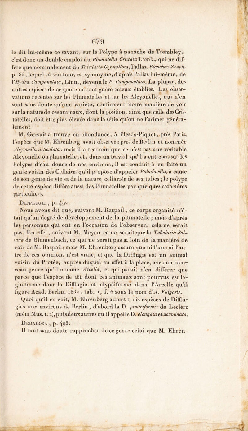 <>79 le dit lui-même ce savant, sur le Polype à panache de Trembley • c’est donc un double emploi du Plumatella Cristata Lamk., qui ne dif- fère que nominalement du Tulularia Crjystallina, Pallas, Elenchus Zooph. p. 85, lequel, à son tour, est synonyme* d’après Pallas lui-même, de YIljdra Campanulata, Linn., devenu le P. Campanulata. La plupart des autres espèces de ce genre ne sont guère mieux établies. Les obser- vations récentes sur les Plumatelles et sur les Alcyonelles, qui n’en sont sans doute qu’une variété, confirment notre manière de voir sur la nature de ces animaux, dont la position, ainsi que celle desCris- tatelles, doit être plus élevée dans la série qu’on ne l’admet généra- lement. M. Gervais a trouvé en abondance, à Plessis-Piquet, près Paris, l’espèce que M. Ehrenberg avait observée près de Berlin et nommée Alcyonella articulata ; mais il a reconnu que ce n’est pas une véritable Alcyonelle ou plumatelle, et, dans un travail qu’il a entrepris sur les Polypes d’eau douce de nos environs, il est conduit à en faire un genre voisin des Cellaires qu’il propose d’appeler Paludicella, à cause de son genre de vie et de la nature ceîlariée de ses tubes; le polype de cette espèce diffère aussi des Plumatelles par quelques caractères particuliers. Difflugie, p. 49 Nous avons dit que., suivant M. Raspail, ce corps organisé n’é- tait qu’un degré de développement de la plumatelle ; mais d’après les personnes qui ont eu l’occasion de l’observer, cela ne serait pas. En effet, suivant M. Meyen ce ne serait que la Tubularia Sul- tana de Bluinenbach, ce qui ne serait pas si loin de la manière de voir de M. Raspail; mais M. Ehrenberg assure que ni l’une ni l’au- tre de ces opinions n’est vraie, et que la Difflugie est un animal voisin du Protée, auprès duquel en effet il la place, avec un nou- veau genre qu’il nomme Arcella, et qui paraît n’en différer que parce que l’espèce de têt dont ces animaux sont pourvus est la- giniforme dans la Difflugie et clypéiforme dans l’Arcelle qu’il figure Acad. Berlin. i83a . lab. i, f. 6 sous le nom d’A. Vulgaris. Quoi qu’il en soit, M. Ehrenberg admet trois espèces de Difflu- gies aux environs de Berlin , d’abord la D. protœiformis de Leclerc (mém.Mus. t. 2), puis deux autres qu’il appelle D. elongata elacuminata. Dedaloea , p. 493. Il faut sans doute rapprocher de ce genre celui que M. Ehren-