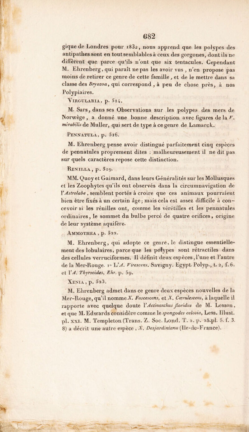 C82 gique de Londres pour i83^, nous apprend que les polypes des antipathes sont en tout semblables à ceux des gorgones, dont ils ne diffèrent que parce qu'ils n'ont que six tentacules. Cependant M. Ehrenberg, qui paraît ne pas les avoir vus , n'en propose pas moins de retirer ce genre de cette famille, et de le mettre dans sa classe des Bryozoa, qui correspond , à peu de chose près, à nos Polypiaires. VlRGTJEARIA, p. 514. M. Sars, dans ses Observations sur les polypes des mers de Norwège , a donné une bonne description avec figures de la mirabilis de Muller, qui sert de type à ce genre de Lamarck. PennatuxiA, p. 516. M. Ehrenberg pense avoir distingué parfaitement cinq espèces de pennatules proprement dites : malheureusement il ne dit pas sur quels caractères repose cette distinction. Retstiela, p. 519. MM. Quoy et Gaimard, dans leurs Généralités sur les Mollusques et les Zoophytes qu'ils ont observés dans la circumnavigation de VAstrolabe , semblent portés à croire que ces animaux pourraient bien être fixés à un certain âge; mais cela est assez difficile à con- cevoir si les rénilles ont, comme les vérétilles et les pennatules ordinaires, le sommet du bulbe percé de quatre orifices, origine de leur système aquifère. Ammothea , p. 522. M. Ehrenberg, qui adopte ce genre, le distingue essentielle- ment des lobulaires, parce que les polypes sont rétractiles dans des cellules verruciformes. Il définit deux espèces,l'une et l'autre de la Mer-Rouge. 1° L’A. Virescens. Savigny. Egypt. Polyp., t. 2, f. 6. et Y A. Tkyrsoides, Ehr. p. 59. Xenia , p. 5a3. M. Ehrenberg admet dans ce genre deux espèces nouvelles de la Mer-Rouge, qu'il nommeX. Fuscescens, et X. Cœrulescens, à laquelle il rapporte avec quelque doute YActinanthusJloridus de M. Lesson, et que M. Edwards considère comme le spongodes celosia, Less. Illust. pi. xxi. M. Templeton (Trans. Z. Soc. Lond. T. 2. p. 25.pl. 5. f. 3.