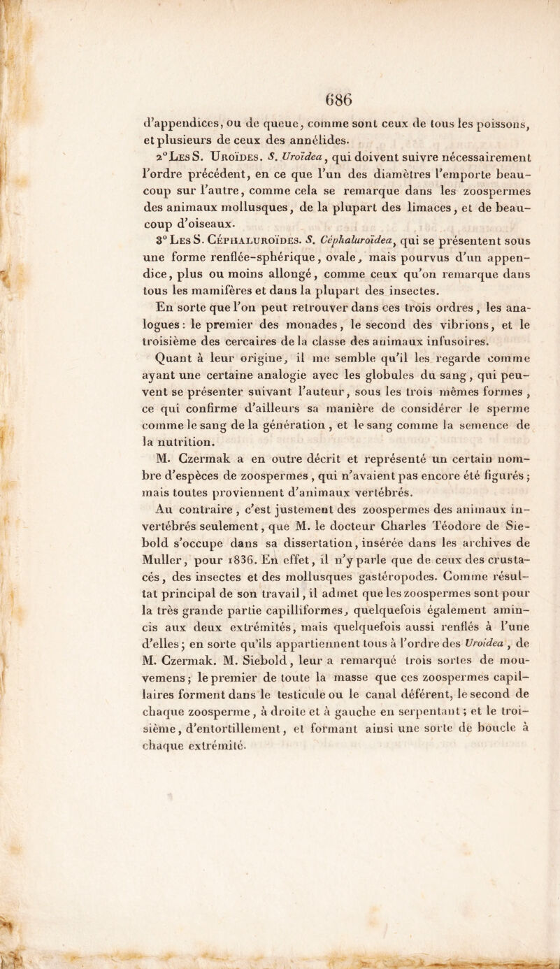 d’appendices, ou de queue, comme sont ceux de tous les poissons, et plusieurs de ceux des annélides. 2°LesS. Uroïdes. S. U roi de a, qui doivent suivre nécessairement Tordre précédent, en ce que Tun des diamètres Temporte beau- coup sur Tautre, comme cela se remarque dans les zoospermes des animaux mollusques, de la plupart des limaces, et de beau- coup d’oiseaux. 3° Les S. Céphaluroïdes. S. Céphaluroïdea) qui se présentent sous une forme renflée-sphérique, ovale, mais pourvus d’un appen- dice, plus ou moins allongé, comme ceux qu’on remarque dans tous les mamifères et dans la plupart des insectes. En sorte que Ton peut retrouver dans ces trois ordres , les ana- logues : le premier des monades, le second des vibrions, et le troisième des cercaires de la classe des animaux infusoires. Quant à leur origine, il me semble qu'il les regarde comme ayant une certaine analogie avec les globules du sang, qui peu- vent se présenter suivant l’auteur, sous les trois mêmes formes , ce qui confirme d’ailleurs sa manière de considérer ie sperme comme le sang de la génération , et le sang comme la semence de la nutrition. M. Czermak a en outre décrit et représenté un certain nom- bre d’espèces de zoospermes , qui n’avaient pas encore été figurés ; mais toutes proviennent d'animaux vertébrés. Au contraire , c’est justement des zoospermes des animaux in- vertébrés seulement, que M. le docteur Charles Téodore de Sie- bold s’occupe dans sa dissertation, insérée dans les archives de Muller, pour i836. Eh effet, il n’y parle que de ceux des crusta- cés, des insectes et des mollusques gastéropodes. Comme résul- tat principal de son travail, il admet que les zoospermes sont pour la très grande partie capilliformes, quelquefois également amin- cis aux deux extrémités, mais quelquefois aussi renflés à Tune d’elles j en sorte qu’ils appartiennent tous à Tordre des Uroidea , de M. Czermak. M. Siebold, leur a remarqué trois sortes de mou- vemens ; le premier de toute la masse que ces zoospermes capil- laires forment dans le testicule ou le canal déférent, le second de chaque zoosperme, à droite et à gauche en serpentant ; et le troi- sième, d’entortillement, et formant ainsi une sorte de boucle à chaque extrémité.