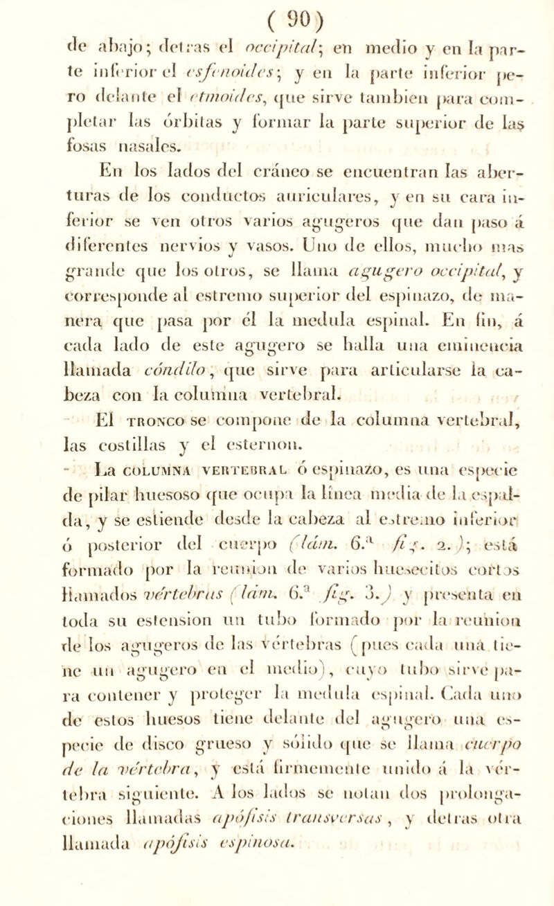 ( so) de abajo; del ras el occipital, en medio y en la par- te inferior el esfenoides; y en la parte inferior pe- ro delante el etmoides, que sirve también para com- pletar las órbitas y formar la parte superior de la$ fosas nasales. En los lados del cráneo se encuentran las aber- turas de los conductos auriculares, y en su cara in- ferior se ven otros varios acogeros que dan paso á diferentes nervios y vasos. Uno de ellos, mucho mas gratifie que los otros, se llama agugero occipital, y corresponde al cstremo superior del espinazo, de ma- nera que pasa por él la medula espinal. En fin, á cada lado de este agugero se baila una eminencia llamada cóndilo, que sirve para articularse la ca- beza con la columna vertebral. El tronco se compone de la columna vertebral, las costillas y el esternón. La columna vertebral ó espinazo, es una especie de pilar huesoso (fue ocupa la línea media de la espal- da, y se esliendo desde la cabeza al ejlre.no inferior ó posterior del cuerpo (Idm. 6.'1 /?,(. 2.); iestá formado por la reunión de varios huesecitos cortos llamados vertebras ( Idnu (5.a fig. o.) y presenta en toda su estension un tubo formado por la reunión de los agujeros de las vértebras ( pues cada una tie- ne un a g ugero en el medio), cuyo tubo sirve pa- ra contener y proteger la medula espinal. Cada uno de estos huesos tiene delante del agugero una es- pecie de disco grueso y sólido que se llama cuerpo de la vértebra, y está íirmemenle unido á la vér- tebra siguiente. A los lados se notan dos prolonga- ciones llamadas apófisis transversas, y detrás otra llamada apófisis espinosa.