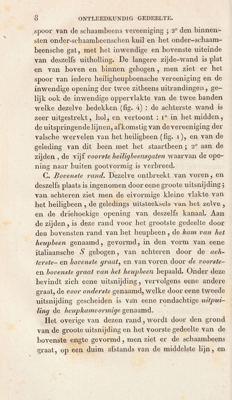 spoor van de schaambeens vereeniging 5 2° den binnen- sten onder-sebaambeenschen kuil en het onder-schaam- beensche gat, met het inwendige en bovenste uiteinde van deszelfs uitholling. De langere zijde-wand is plat en van boven en binnen gebogen , men ziet er het spoor van iedere heiligheupbeensche vereeniging en de inwendige opening der twee zitbeens uitrandingen, ge- lijk ook de inwendige oppervlakte van de twee banden weike dezelve bedekken (lig. 4) : de achterste wand is zeer uitgestrekt, hol, en vertoont : i° in het midden, de uitspringende lijnen, afkomstig van de vereeniging der valsche wervelen van het heiligbeen (fig. 1 ), en van de geleding van dit been met het staartbeen ; 2° aan de zijden , de vijf voorste heiligbeensgaten waarvan de ope- ning naar buiten gootvormig is verbreed. C. Bovenste rand. Dezelve ontbreekt van voren, en deszelfs plaats is ingenomen door eene groote uitsnijding 5 van achteren ziet men de ei vormige kleine vlakte van het heiligbeen , de geledings uitsteeksels van het zelve , en de driehoekige opening van deszelfs kanaal. Aan de zijden, is deze rand voor het grootste gedeelte door den bovensten rand van het heupbeen, de kam van het heupbeen genaamd, gevormd, in den vorm van eene italiaansche S gebogen, van achteren door de ach- terste- en bovenste graat, en van voren door de voorste- en bovenste graat van het heupbeen bepaald. Onder deze bevindt zich eene uitsnijding, vervolgens eene andere graat, de voor onderste genaamd, welke door eene tweede uitsnijding gescheiden is van eene rondachtige uitpui- ling de heupkamvormige genaamd. Het overige van dezen rand, wordt door den grond van de groote uitsnijding en het voorste gedeelte van de bovenste engte gevormd, men ziet er de schaambeens graat, op een duim afstands van de middelste lijn, en