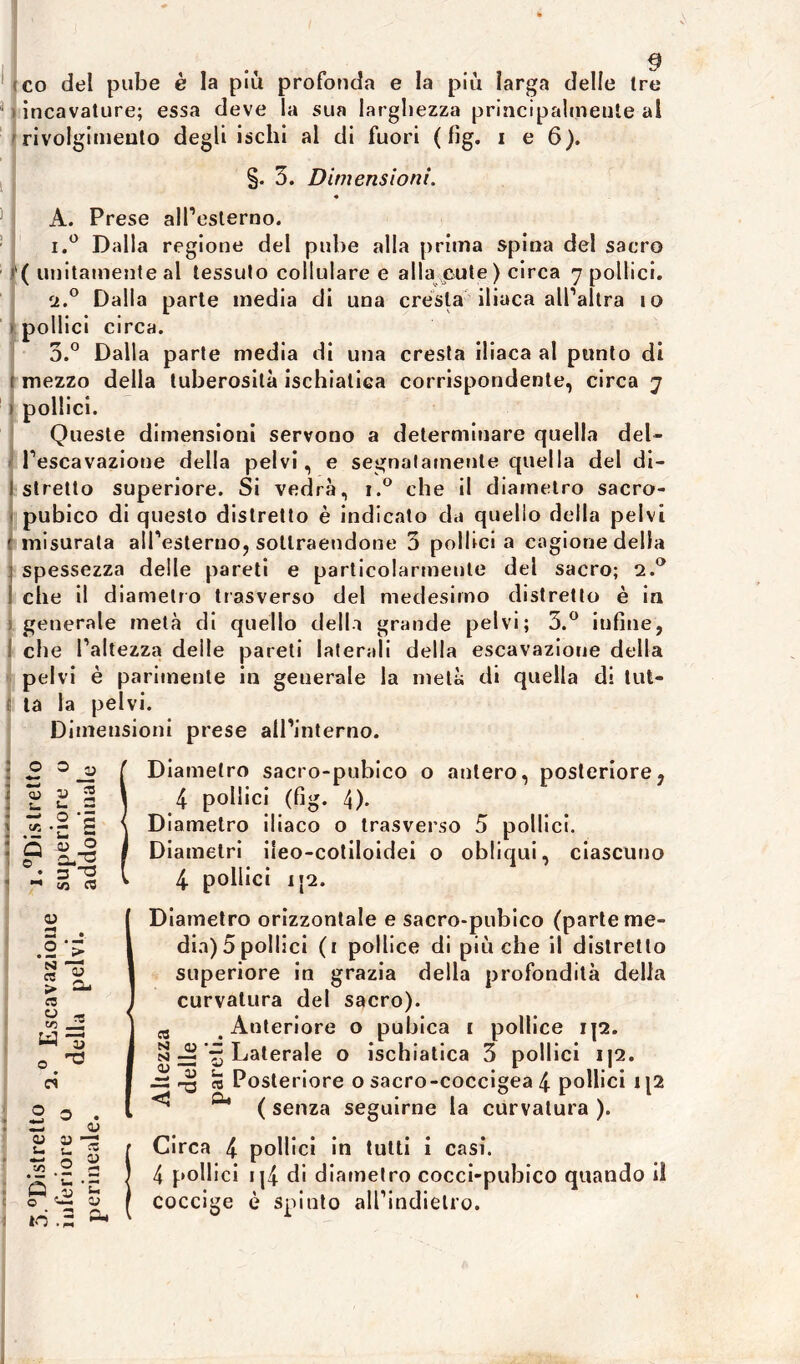 co del pube è la più profonda e la più larga delle tre incavature; essa deve la sua larghezza principalmente al rivolgimeuto degli ischi al di fuori ( fig. i e 6). §. 3. Dimensioni. A. Prese all’esterno. i.° Dalla regione del pube alla prima spina del sacro >'( unitamente al tessuto collulare e alla cute ) circa 7 pollici. 2.0 Dalla parte inedia di una cresta iliaca all’altra io > pollici circa. 3.° Dalla parte media di una cresta iliaca al punto di mezzo della tuberosità ischiatica corrispondente, circa 7 pollici. Queste dimensioni servono a determinare quella del- rescavazione della pelvi, e segnatamente quella del di- stretto superiore. Si vedrà, i.° che il diametro sacro- pubico di questo distretto è indicato da quello della pelvi misurata all’esterno, sottraendone 3 pollici a cagione della spessezza delle pareti e particolarmente del sacro; 2.0 che il diametro trasverso del medesimo distretto è in generale metà di quello della grande pelvi; 3.° infine, che l’altezza deile pareti laterali della escavazione della pelvi è parimente in generale la metà di quella di tut- ta la pelvi. Dimensioni prese all’interno. o o j. 2 2 La w 0 C/5 • H s- r PSJ • 3 “ CO CO Diametro sacro-pubico o antero, posteriore? 4 pollici (fig. 4). Diametro iliaco o trasverso 5 pollici. Diametri ileo-cotiloidei o obliqui, ciascuno 4 pollici I{2. <u U O La o <U « a jrg a Sa I Diametro orizzontale e sacro-pubico (parte me- dia) 5 pollici (1 pollice di più che il distretto superiore in grazia della profondità della curvatura del sacro). a Anteriore o pubica 1 pollice ip. SLaterale o ischiatica 3 pollici ip. — ^3 « Posteriore o sacro-coccigea 4 pollici 1 [2 , ^ ^ ( senza seguirne la curvatura ). Circa 4 pollici in tutti i casi. 4 pollici i{4 di diametro cocci-pubico quando il coccige è spinto all’indielro.