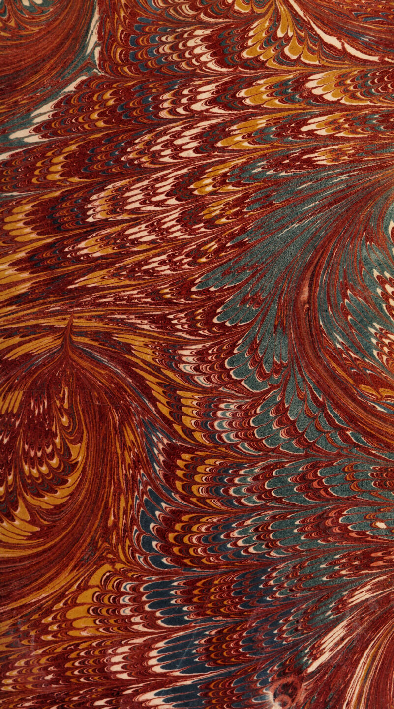 No text description is available for this image