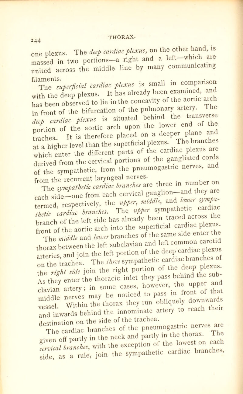 2+4 one plexus. The deep cardiac plexus, on the other hand, is massed in two portions—a right and a left which are united across the middle line by many communicating ^Superficial cardiac plexus is small in comparison with the deep plexus. It has already been examined, and has been observed to lie in the concavity of the aortic arch in front of the bifurcation of the pulmonarj artcr>. cardiac plexus is situated behind the transverse portion of the aortic arch upon the lower end of the trachea. It is therefore placed on a deeper p at a higher level than the superficial plexus. The branches Hh enter the different parts of the cardiac p exus are derived from the cervical portions of the gang ia e cor of the sympathetic, from the pneumogastnc nerves, and from the recurrent laryngeal nerves. The sympathetic cardiac branches are three in num e each side-one from each cervical ganglion-and they are f  rpcr,ectively the upper, middle, and lower sympa- Zc 'cardiac branches. The upper sympathetic cardiac branch of the left side has already been traced across the front of the aortic arch into the superficial cardiac plexus The middle and lower branches of the same sic l en cr thorax between the left subclavian and left common carotid arteries, and join the left portion of the deep cardiac plexus th trachea The three sympathetic cardiac branches rejoin the right portion of the deep plexus. As they enter the thoracic inlet they pass behind the sub- , ■ arterv ■ in some cases, however, the upper and C 71 die nerves’ may be noticed to pass in front of that Vestel Within the thorax they run obliquely downwarS and inwards behind the innominate artery to reach their destination on the side of the trachea. The cardiac branches of the pneumogastnc nerves are ■ -v r.fr nartlv in the neck and partly in the thorax. T i cervical branches, with the exception of the lowest on eaci side, as a rule, join the sympathetic cardiac branche ,