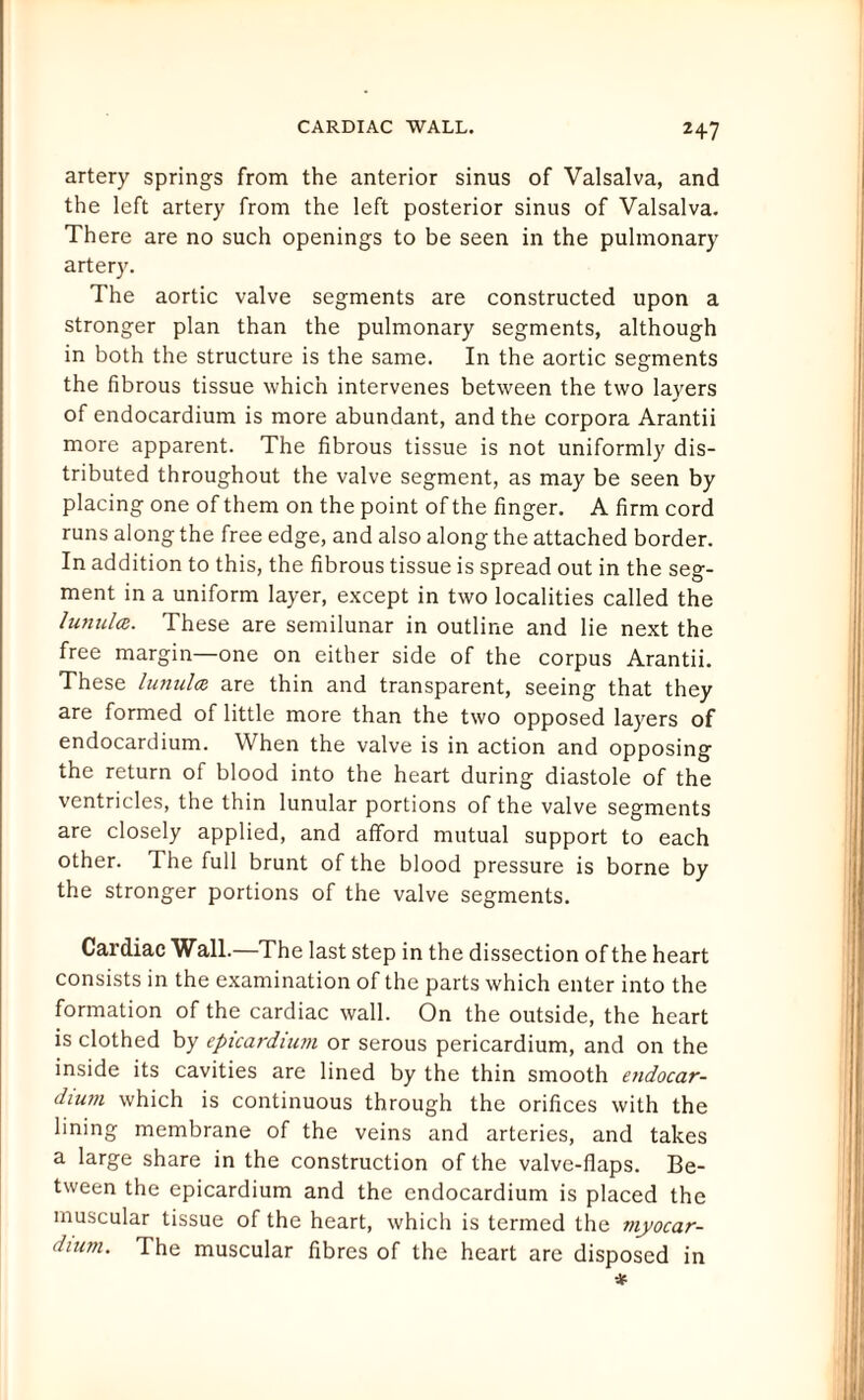 CARDIAC WALL. 2+7 artery springs from the anterior sinus of Valsalva, and the left artery from the left posterior sinus of Valsalva. There are no such openings to be seen in the pulmonary artery. The aortic valve segments are constructed upon a stronger plan than the pulmonary segments, although in both the structure is the same. In the aortic segments the fibrous tissue which intervenes between the two layers of endocardium is more abundant, and the corpora Arantii more apparent. The fibrous tissue is not uniformly dis¬ tributed throughout the valve segment, as may be seen by placing one of them on the point of the finger. A firm cord runs along the free edge, and also along the attached border. In addition to this, the fibrous tissue is spread out in the seg¬ ment in a uniform layer, except in two localities called the lunula. These are semilunar in outline and lie next the free margin—one on either side of the corpus Arantii. These lunula are thin and transparent, seeing that they are formed of little more than the two opposed layers of endocardium. When the valve is in action and opposing the return of blood into the heart during diastole of the ventricles, the thin lunular portions of the valve segments are closely applied, and afford mutual support to each other. The full brunt of the blood pressure is borne by the stronger portions of the valve segments. Cardiac Wall.—The last step in the dissection of the heart consists in the examination of the parts which enter into the formation of the cardiac wall. On the outside, the heart is clothed by epicardium or serous pericardium, and on the inside its cavities are lined by the thin smooth endocar¬ dium which is continuous through the orifices with the lining membrane of the veins and arteries, and takes a large share in the construction of the valve-flaps. Be¬ tween the epicardium and the endocardium is placed the muscular tissue of the heart, which is termed the myocar¬ dium. The muscular fibres of the heart are disposed in *
