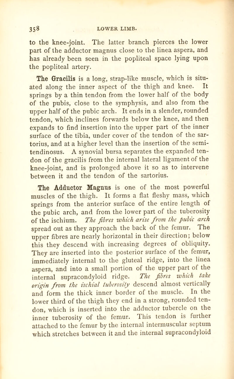 to the knee-joint. The latter branch pierces the lower part of the adductor magnus close to the linea aspera, and has already been seen in the popliteal space lying upon the popliteal artery. The Gracilis is a long, strap-like muscle, which is situ¬ ated along the inner aspect of the thigh and knee. It springs by a thin tendon from the lower half of the body of the pubis, close to the symphysis, and also from the upper half of the pubic arch. It ends in a slender, rounded tendon, which inclines forwards below the knee, and then expands to find insertion into the upper part of the inner surface of the tibia, under cover of the tendon of the sar- torius, and at a higher level than the insertion of the semi- tendinosus. A synovial bursa separates the expanded ten¬ don of the gracilis from the internal lateral ligament of the knee-joint, and is prolonged above it so as to intervene between it and the tendon of the sartorius. The Adductor Magnus is one of the most powerful muscles of the thigh. It forms a flat fleshy mass, which springs from the anterior surface of the entire length of the pubic arch, and from the lower part of the tuberosity of the ischium. The fibres which arise from the pubic arch spread out as they approach the back of the femur. The upper fibres are nearly horizontal in their direction; below this they descend with increasing degrees of obliquity. They are inserted into the posterior surface of the femur, immediately internal to the gluteal ridge, into the linea aspera, and into a small portion of the upper part of the internal supracondyloid ridge. The fibres which take origin from the ischial tuberosity descend almost vertically and form the thick inner border of the muscle. In the lower third of the thigh they end in a strong, rounded ten¬ don, which is inserted into the adductor tubercle on the inner tuberosity of the femur. 1 his tendon is further attached to the femur by the internal intermuscular septum which stretches between it and the internal supracondyloid