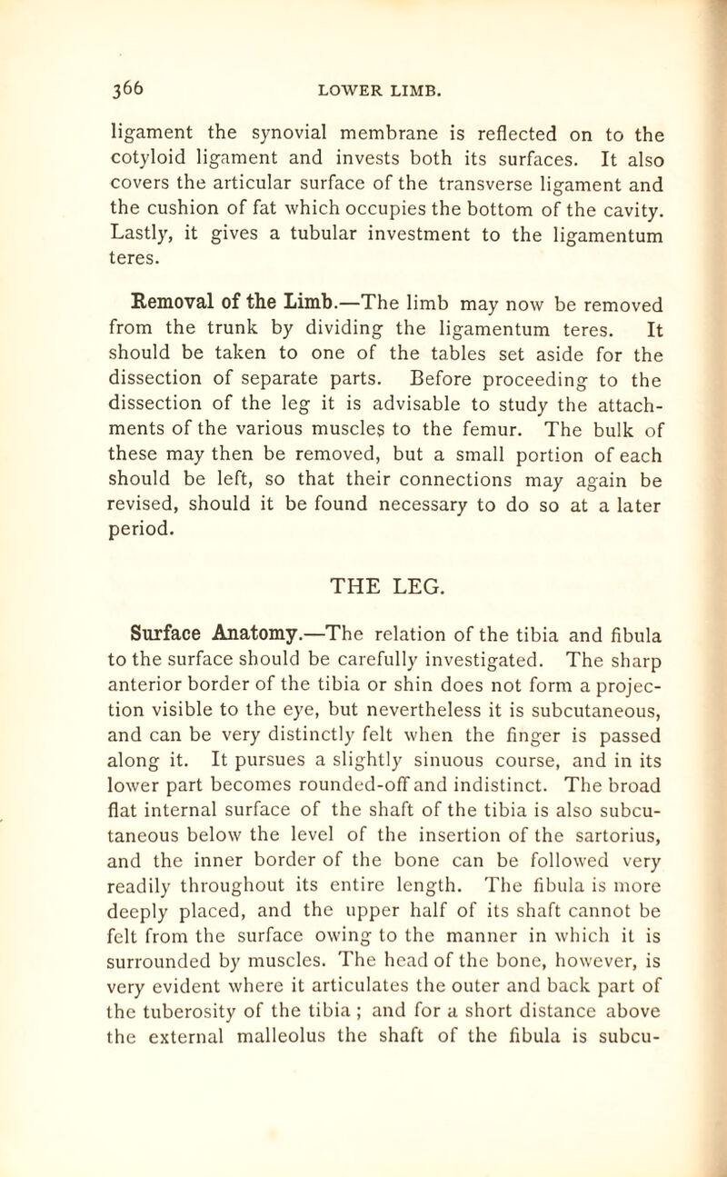 ligament the synovial membrane is reflected on to the cotyloid ligament and invests both its surfaces. It also covers the articular surface of the transverse ligament and the cushion of fat which occupies the bottom of the cavity. Lastly, it gives a tubular investment to the ligamentum teres. Removal of the Limb.—The limb may now be removed from the trunk by dividing the ligamentum teres. It should be taken to one of the tables set aside for the dissection of separate parts. Before proceeding to the dissection of the leg it is advisable to study the attach¬ ments of the various muscles to the femur. The bulk of these may then be removed, but a small portion of each should be left, so that their connections may again be revised, should it be found necessary to do so at a later period. THE LEG. Surface Anatomy.—The relation of the tibia and fibula to the surface should be carefully investigated. The sharp anterior border of the tibia or shin does not form a projec¬ tion visible to the eye, but nevertheless it is subcutaneous, and can be very distinctly felt when the finger is passed along it. It pursues a slightly sinuous course, and in its lower part becomes rounded-off and indistinct. The broad flat internal surface of the shaft of the tibia is also subcu¬ taneous below the level of the insertion of the sartorius, and the inner border of the bone can be followed very readily throughout its entire length. The fibula is more deeply placed, and the upper half of its shaft cannot be felt from the surface owing to the manner in which it is surrounded by muscles. The head of the bone, however, is very evident where it articulates the outer and back part of the tuberosity of the tibia; and for a short distance above the external malleolus the shaft of the fibula is subcu-